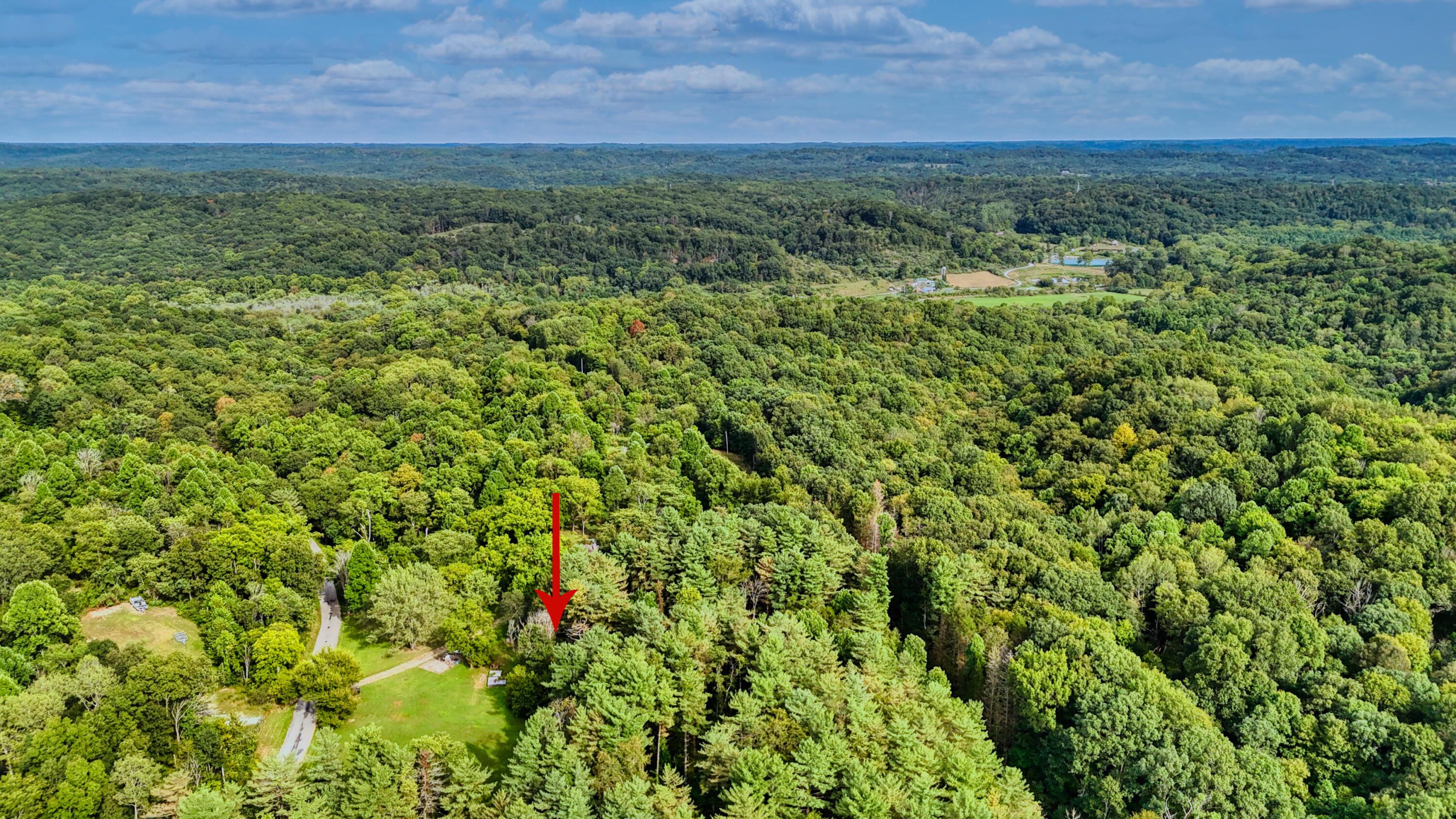 10271 Antle Orchard Road Property Photo 80