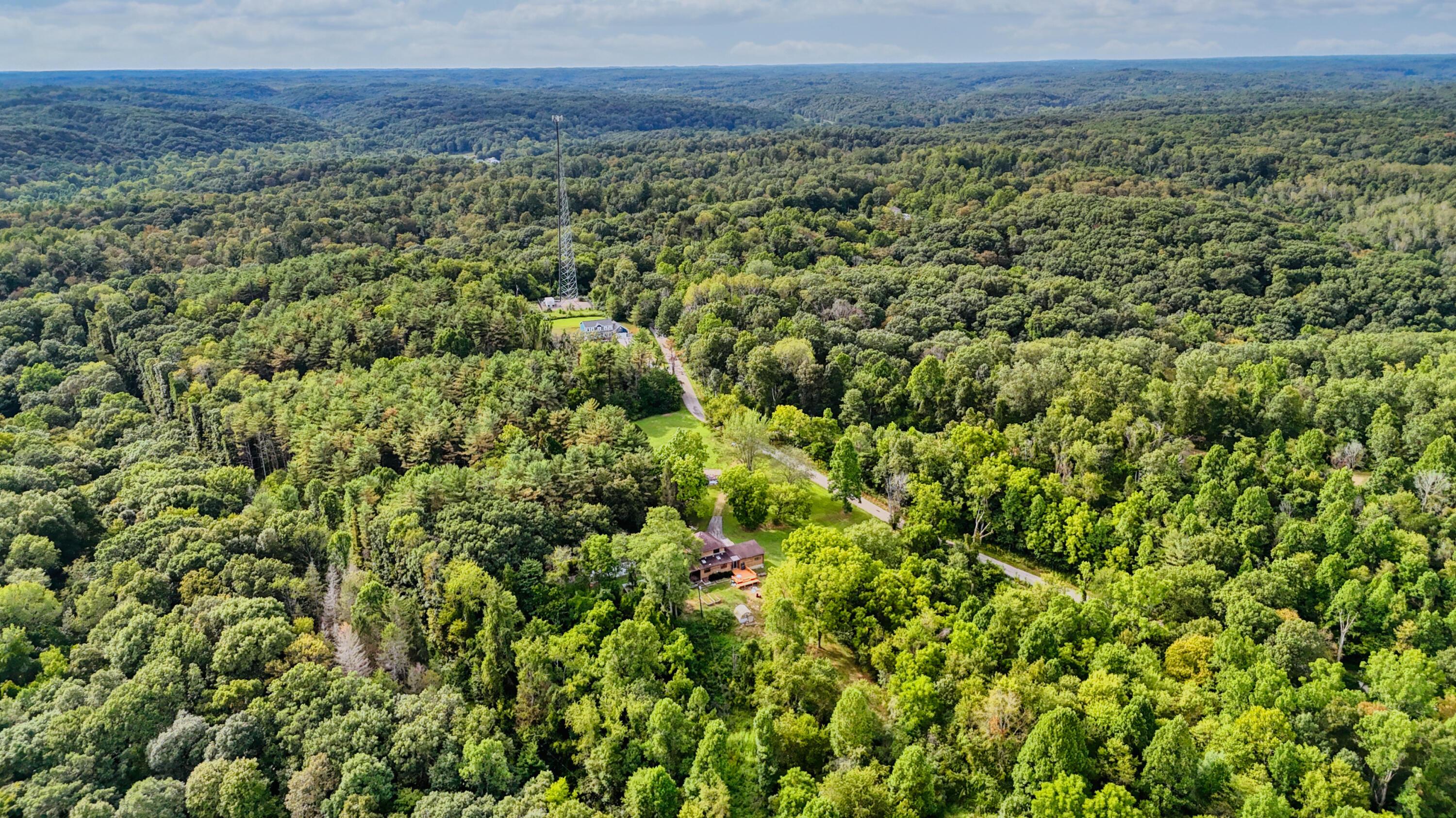 10271 Antle Orchard Road Property Photo 82