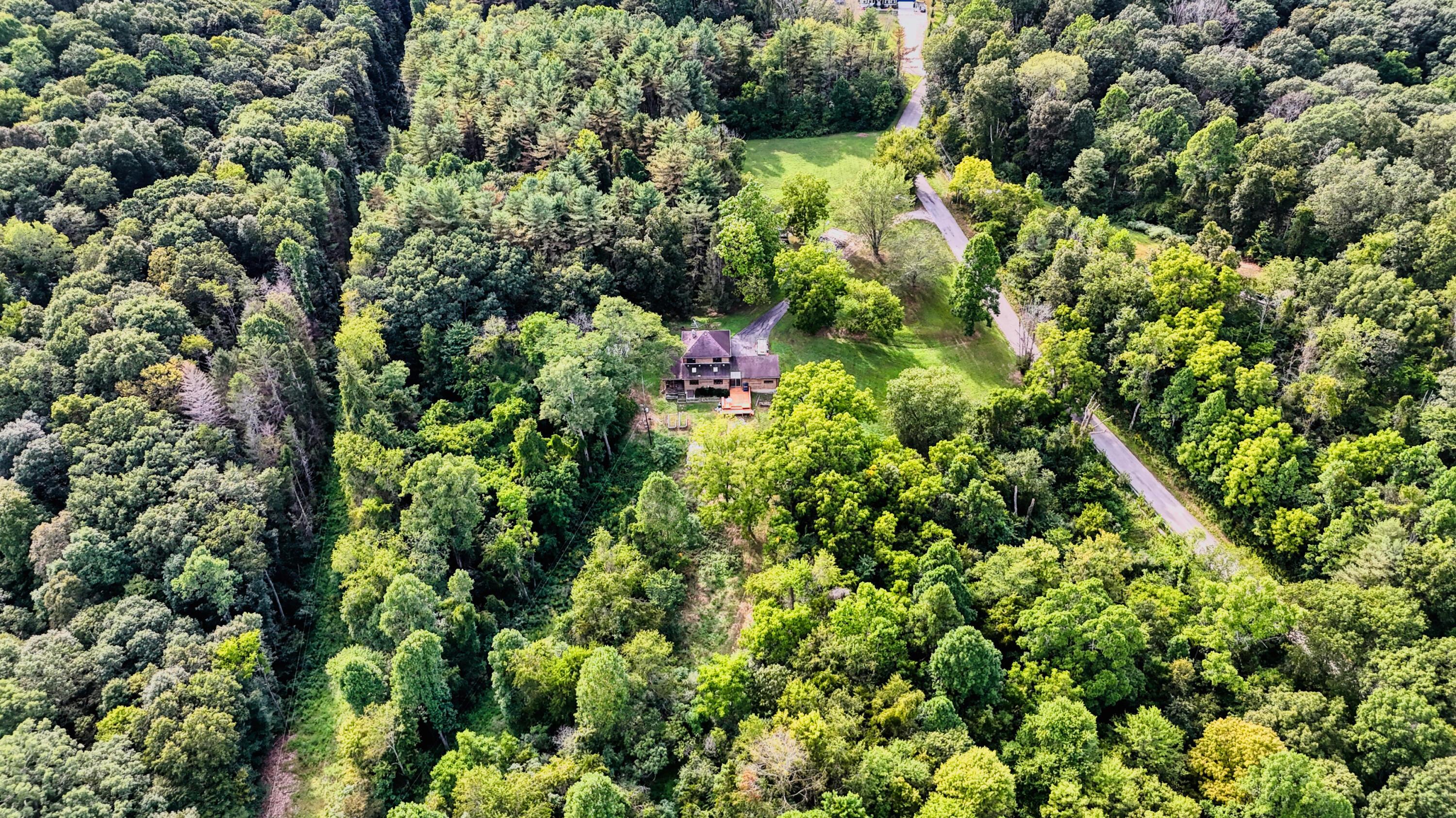 10271 Antle Orchard Road Property Photo 83