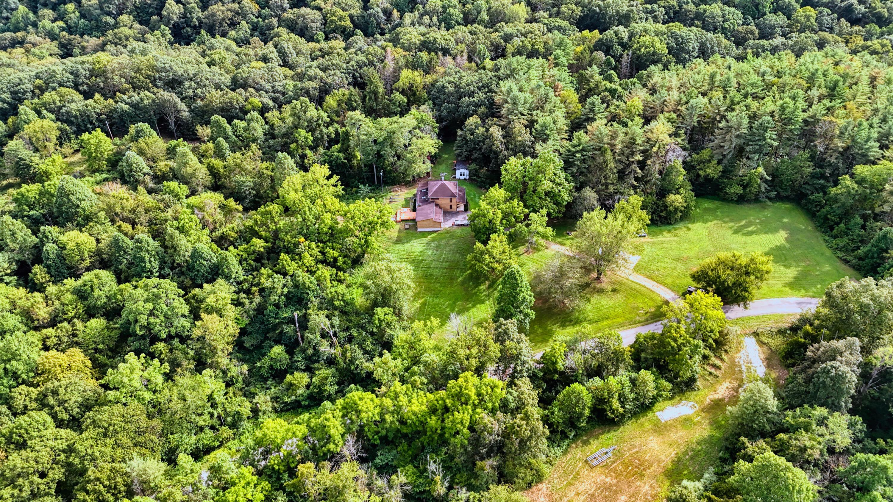 10271 Antle Orchard Road Property Photo 85