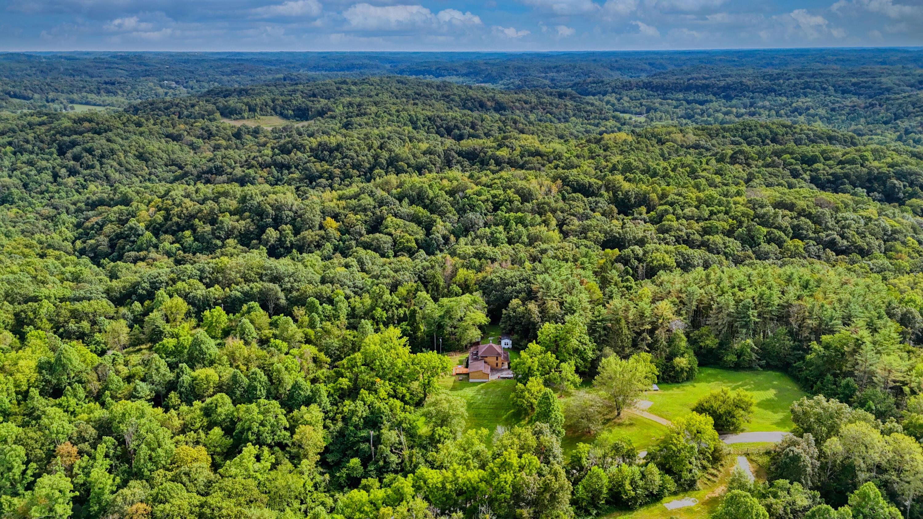 10271 Antle Orchard Road Property Photo 86