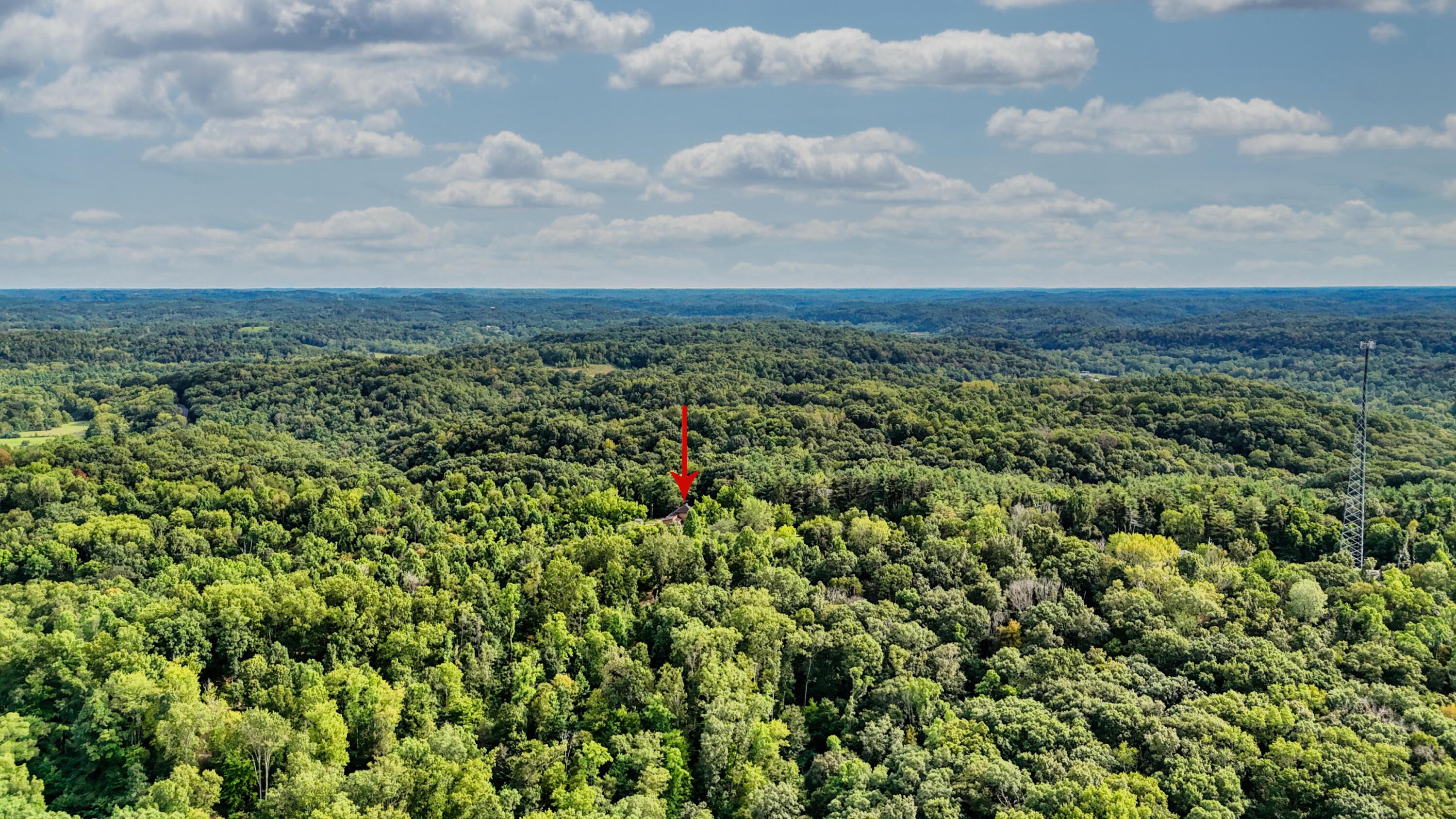 10271 Antle Orchard Road Property Photo 87