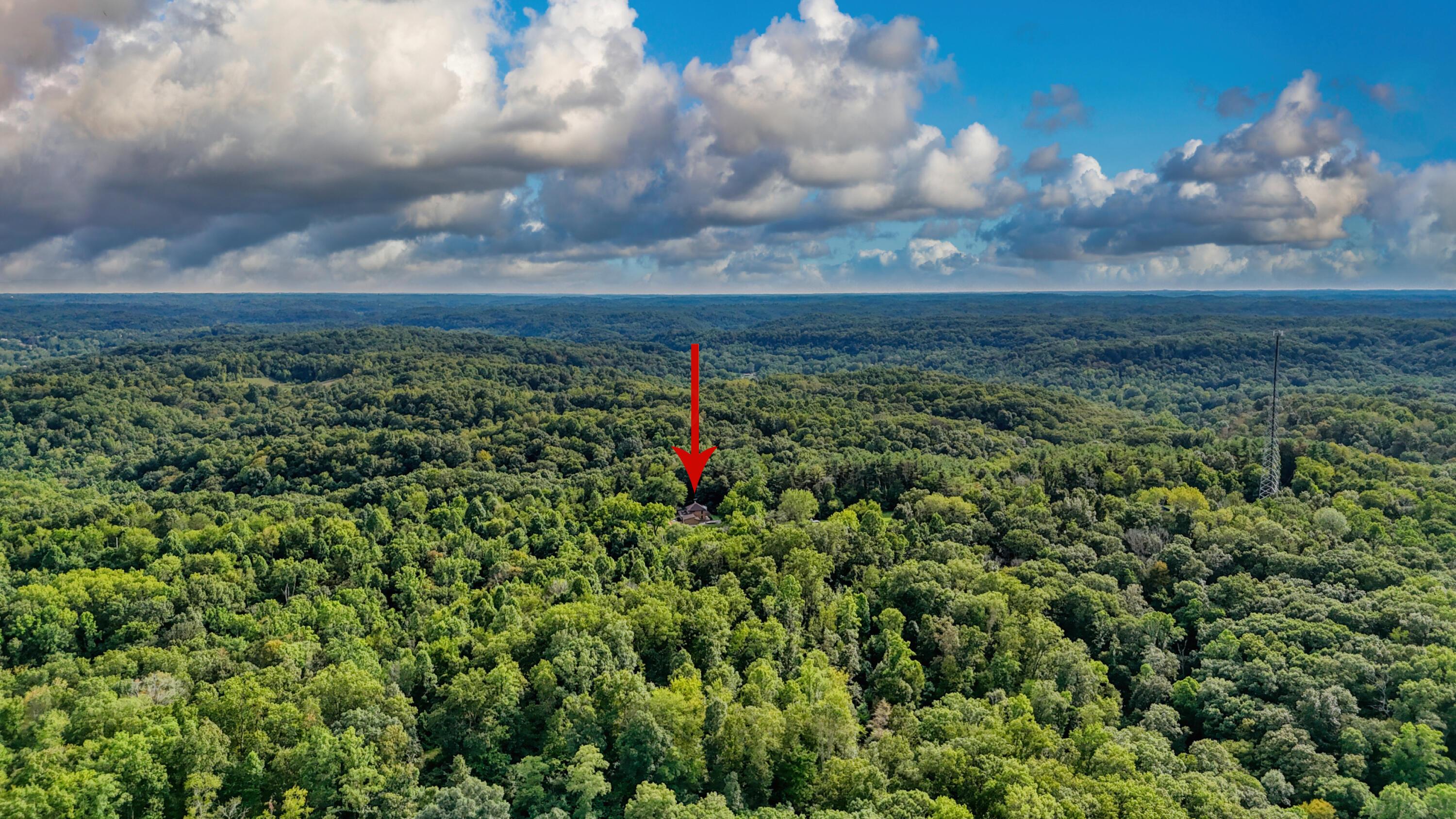 10271 Antle Orchard Road Property Photo 88