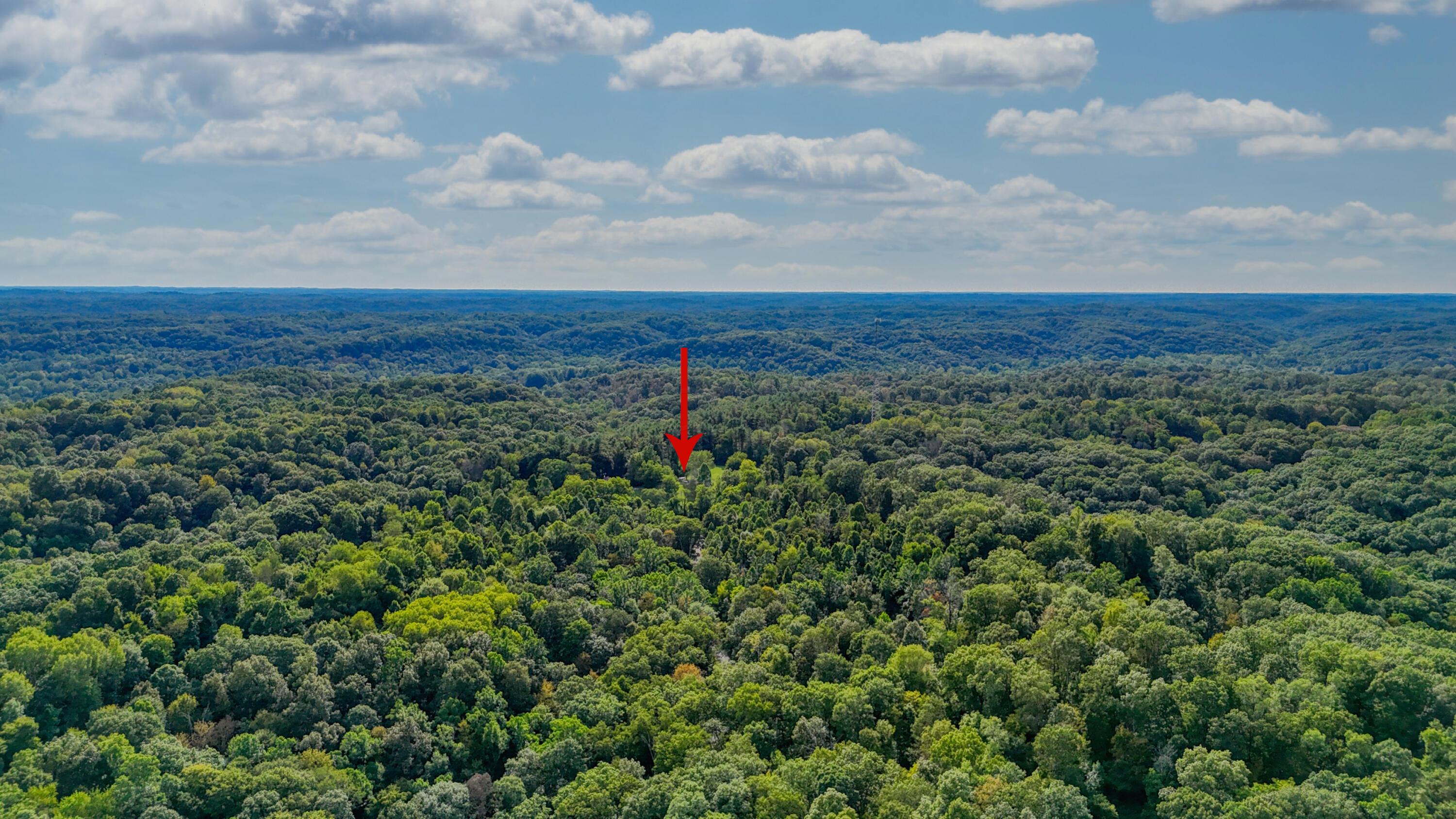 10271 Antle Orchard Road Property Photo 89