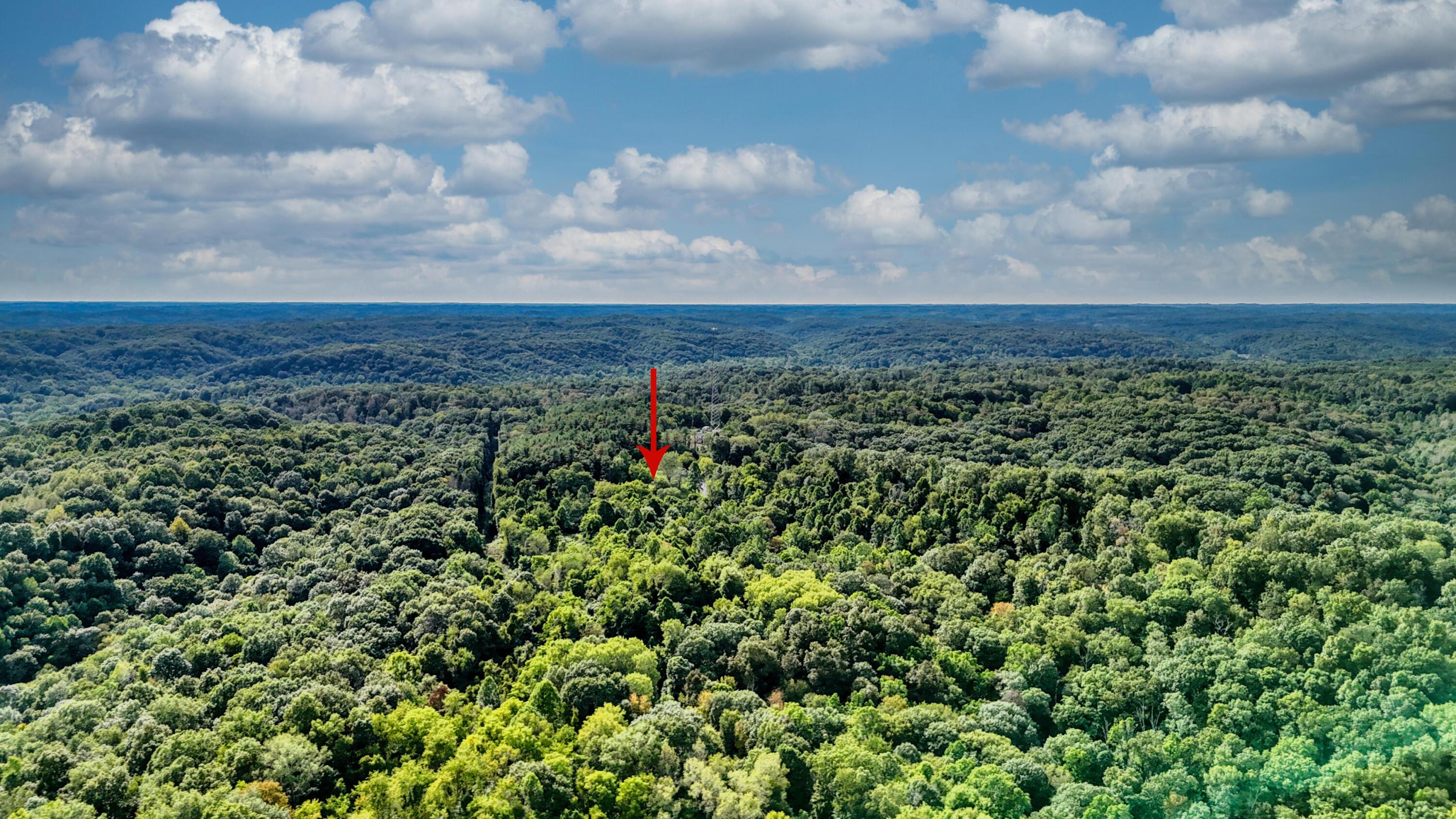 10271 Antle Orchard Road Property Photo 90