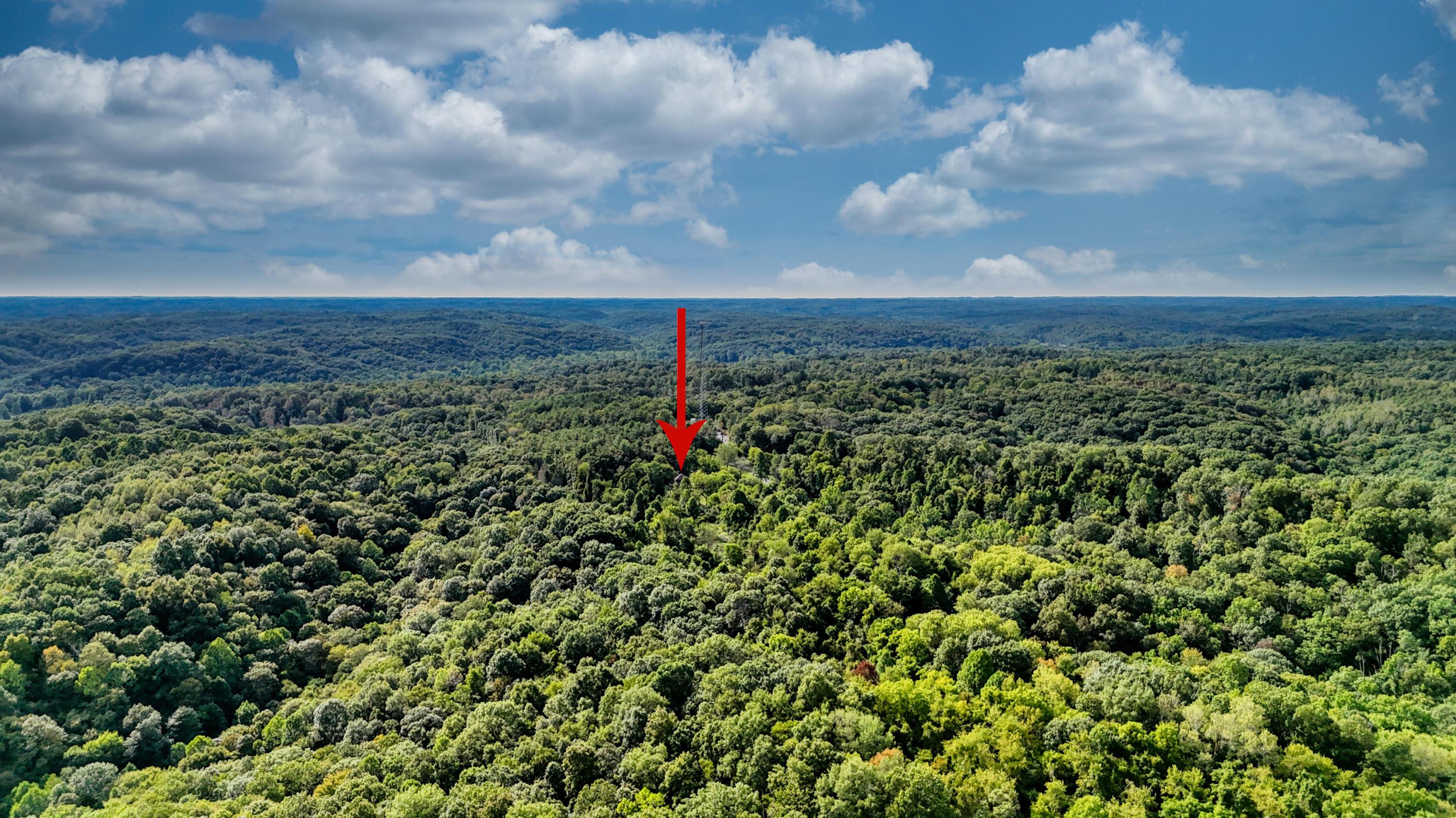 10271 Antle Orchard Road Property Photo 91