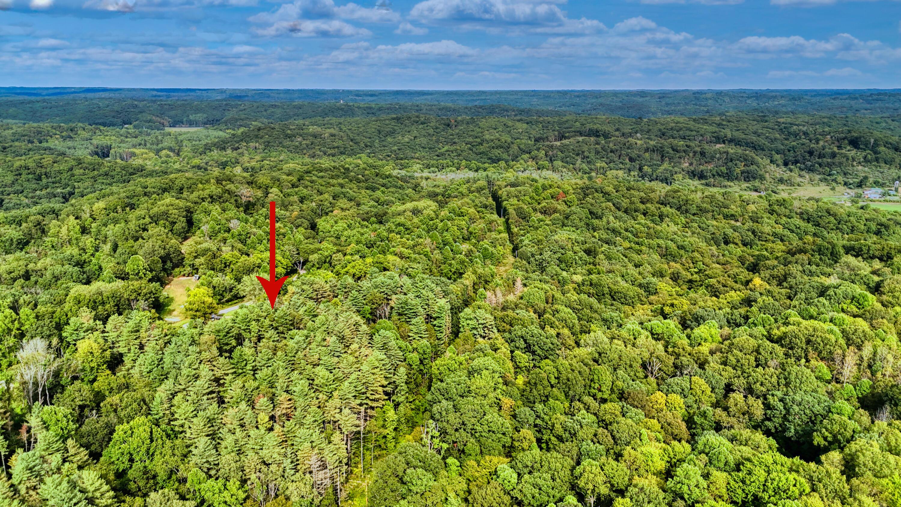 10271 Antle Orchard Road Property Photo 93