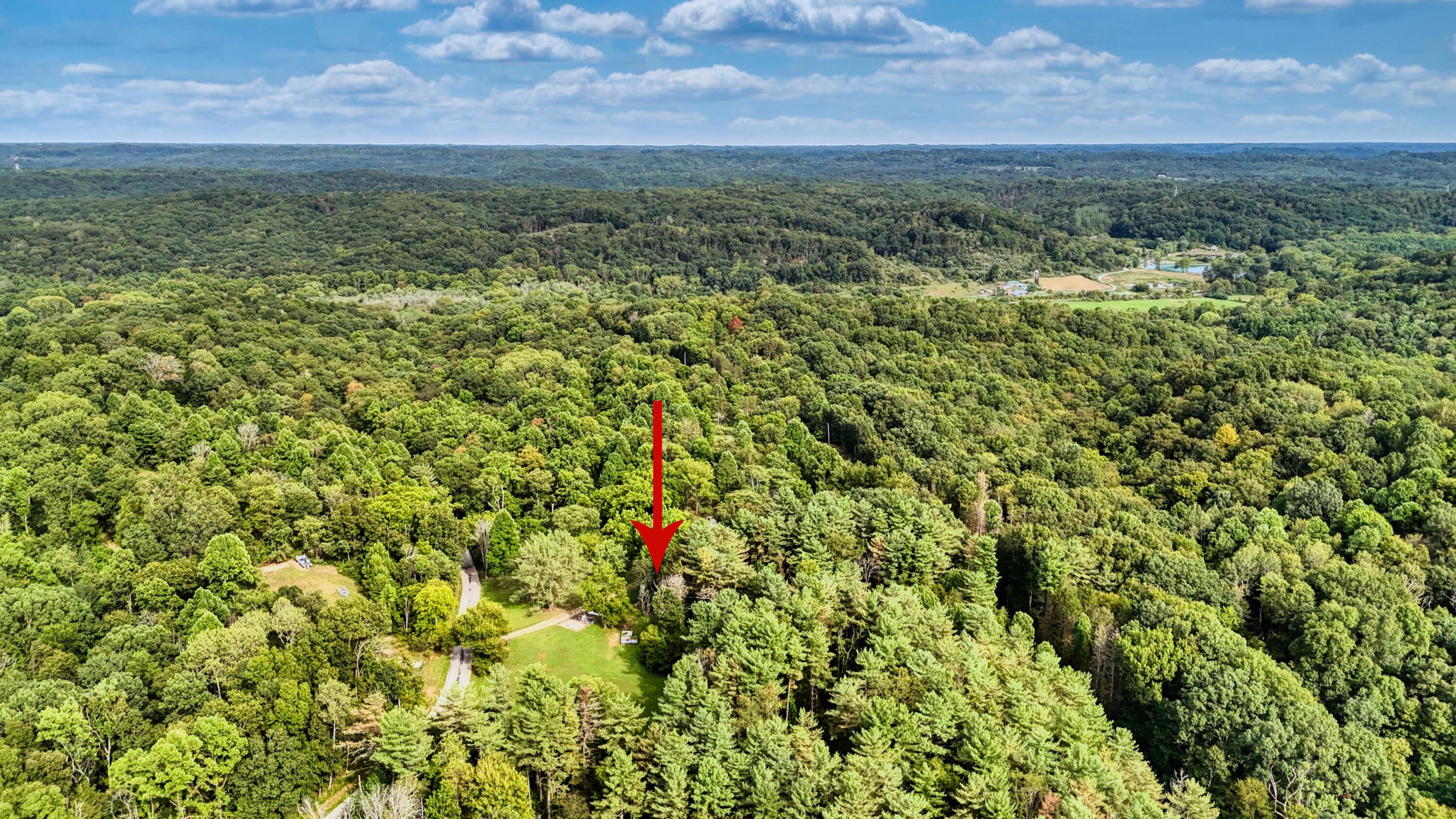 10271 Antle Orchard Road Property Photo 94