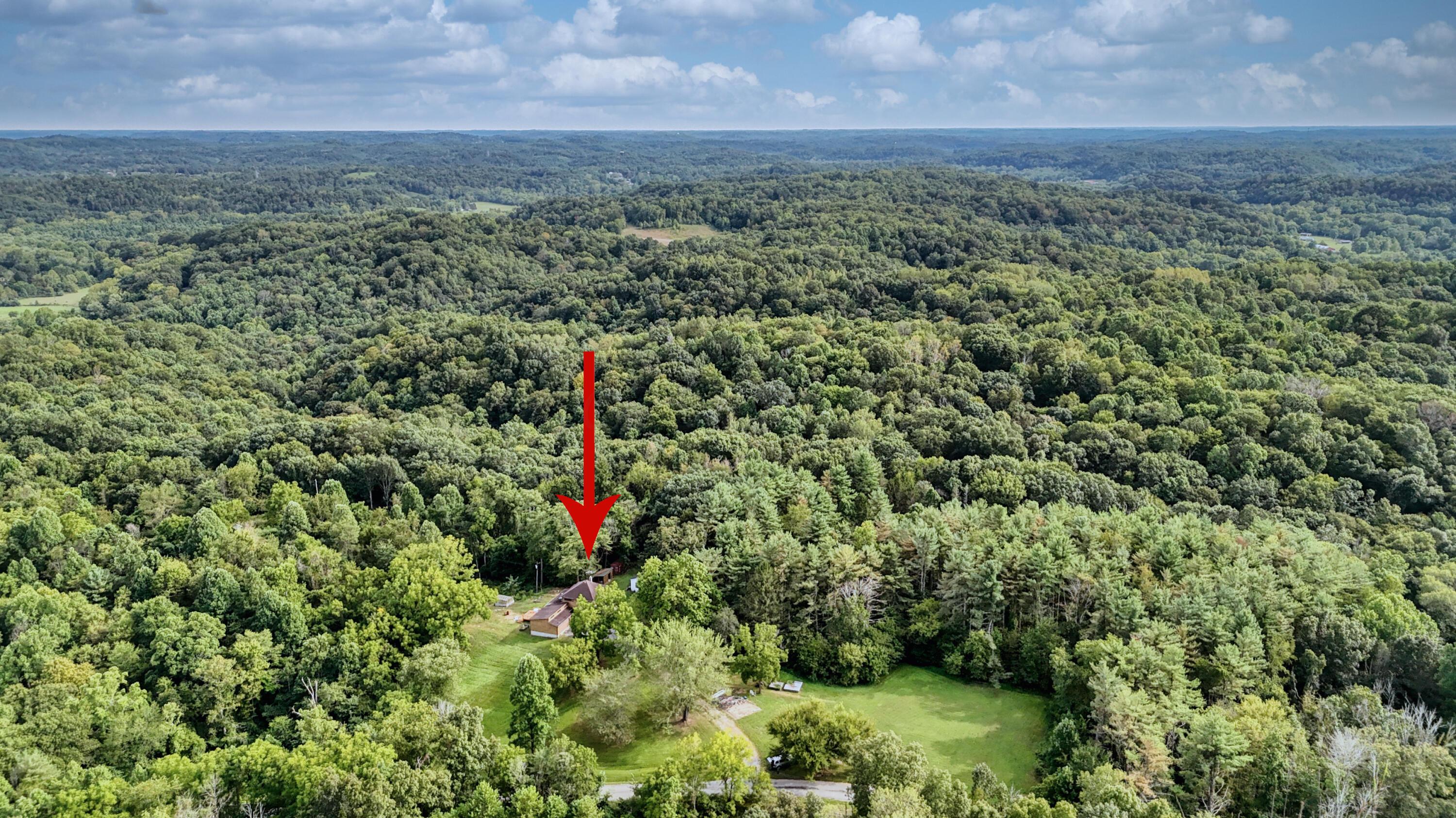 10271 Antle Orchard Road Property Photo 95