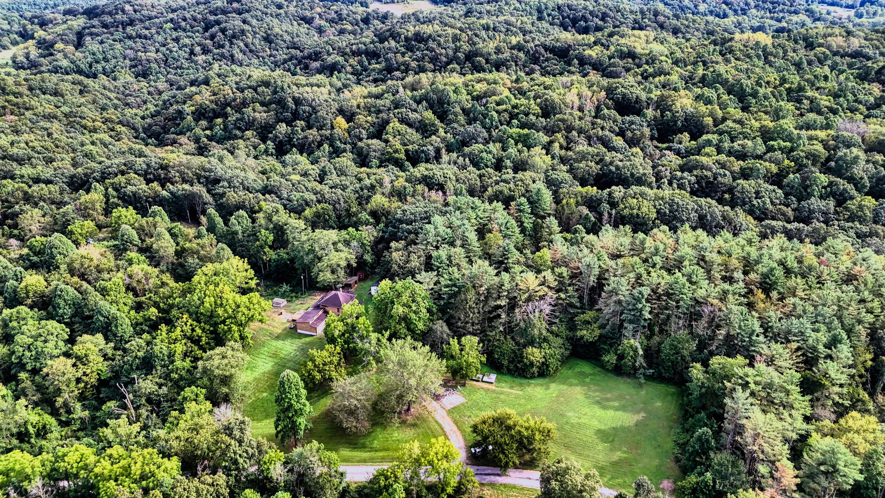 10271 Antle Orchard Road Property Photo 96