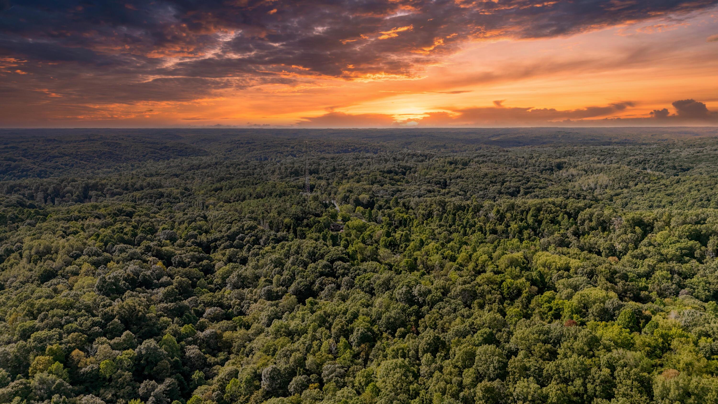 10271 Antle Orchard Road Property Photo 98