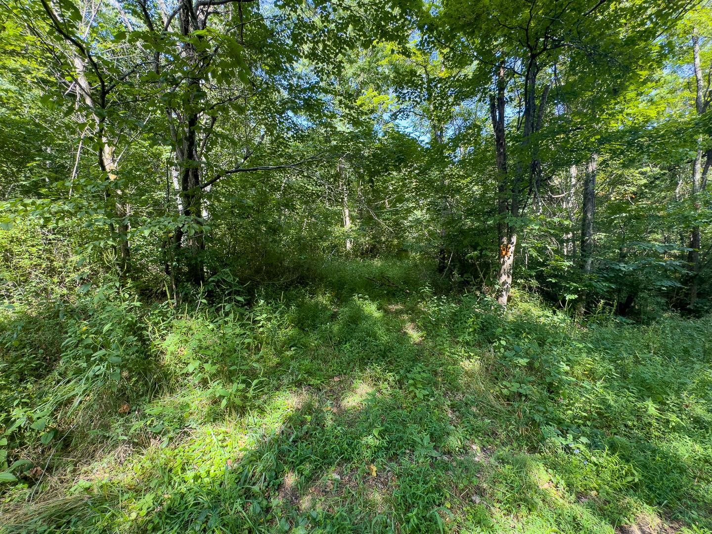 0 Sand Ridge Road Property Photo 7