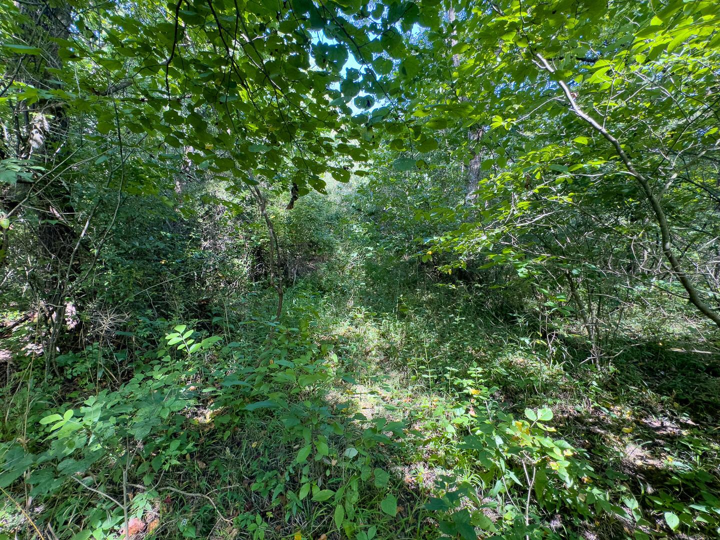 0 Sand Ridge Road Property Photo 8