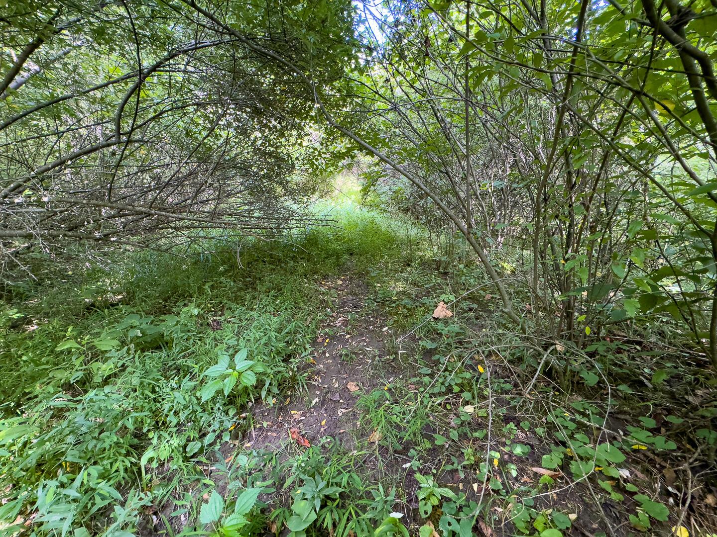 0 Sand Ridge Road Property Photo 9