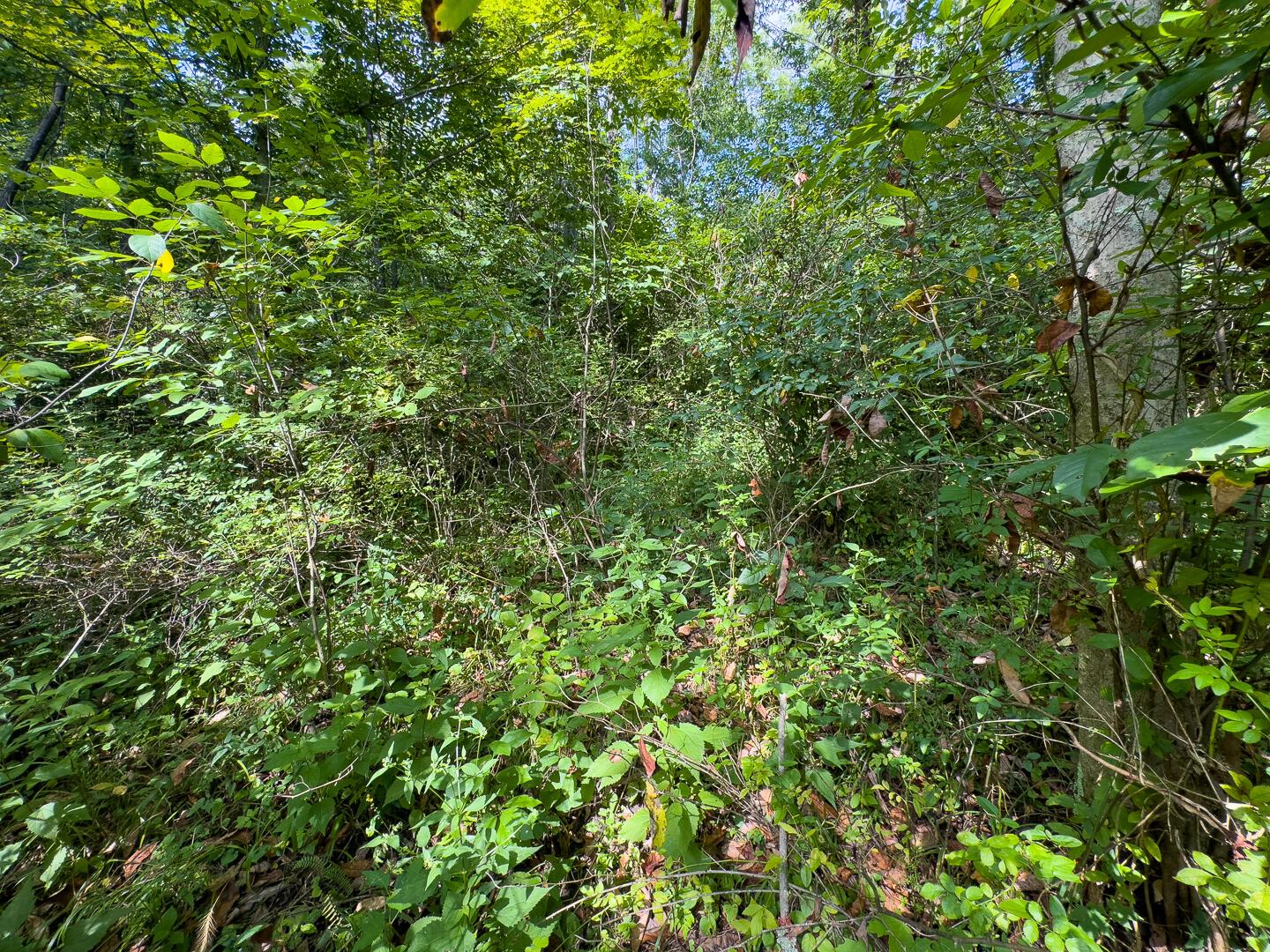 0 Sand Ridge Road Property Photo 10