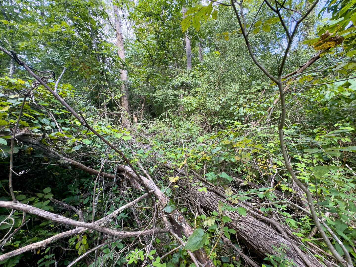 0 Sand Ridge Road Property Photo 11