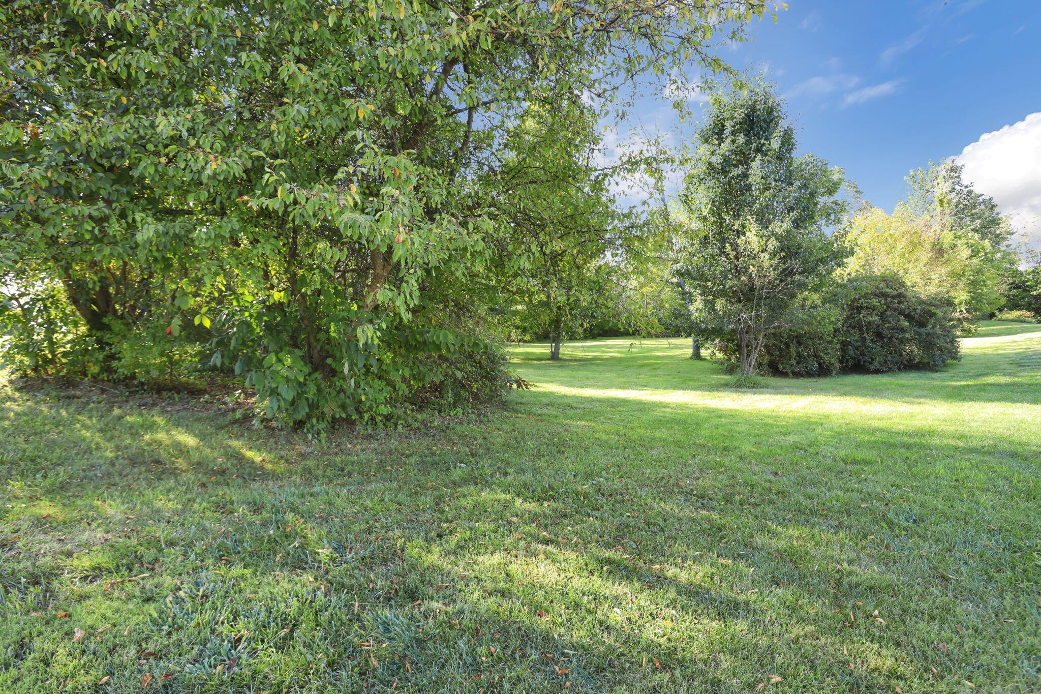 0 Coonpath Road Ne Property Photo 3