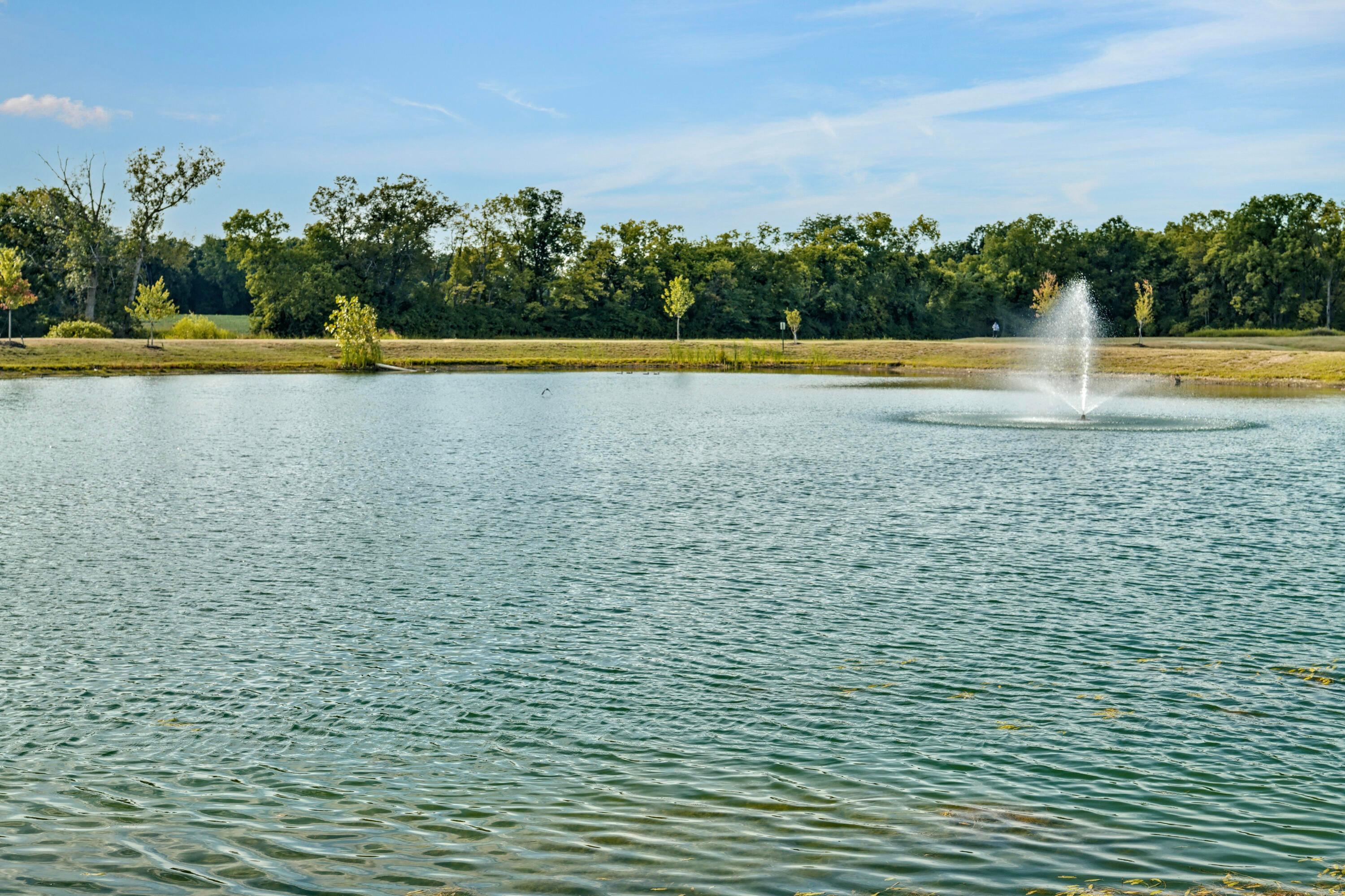 165 Lorrimore Drive Property Photo 32