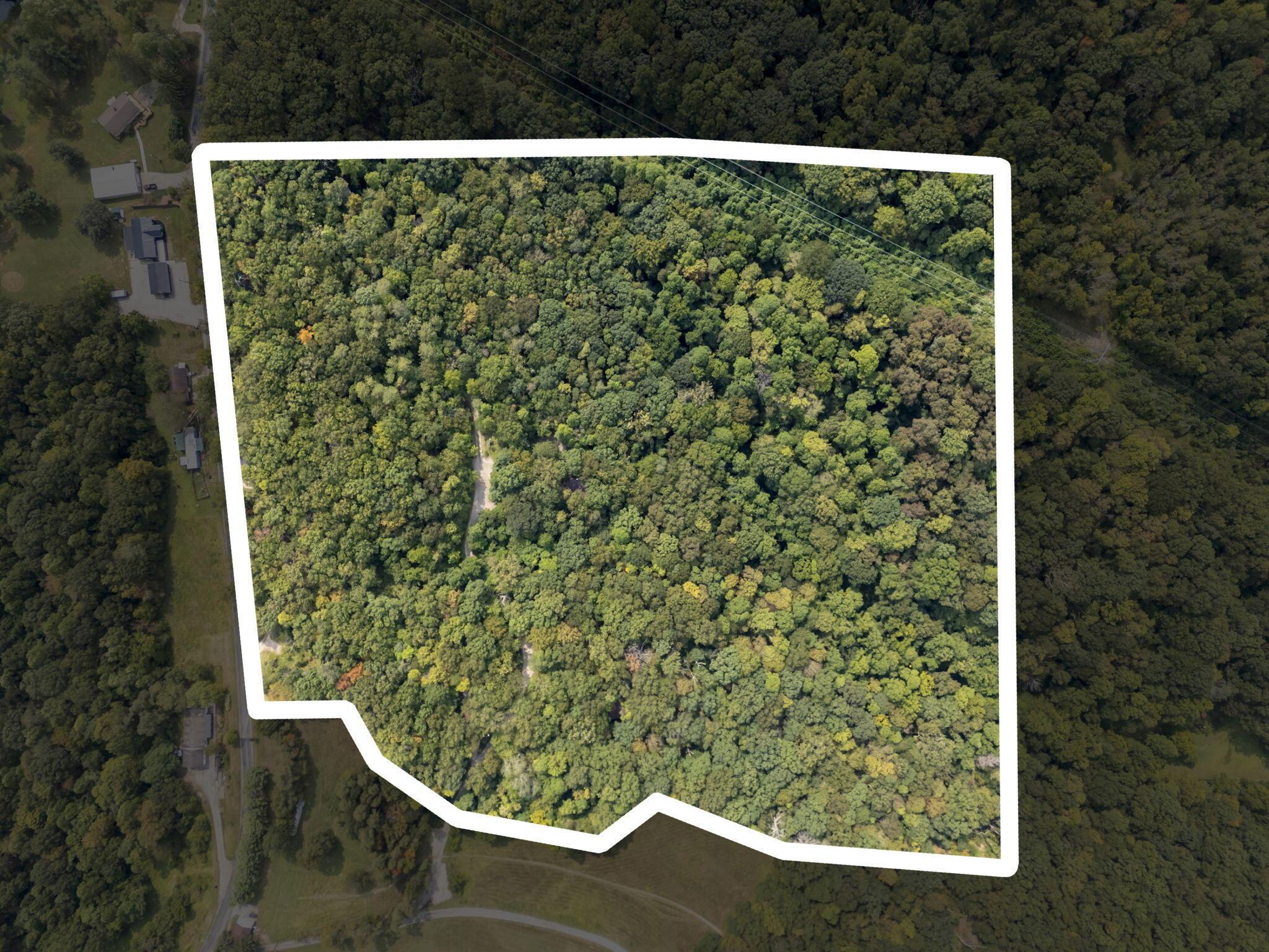 14811 Burcham Road Property Photo 3