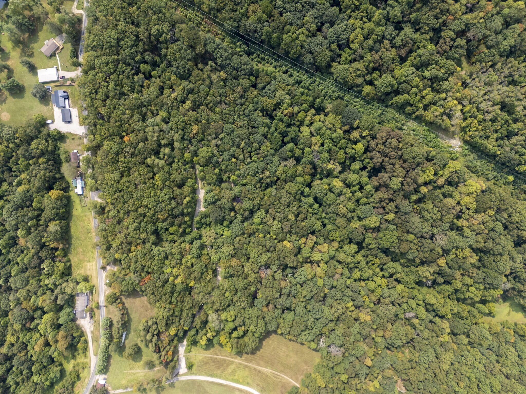 14811 Burcham Road Property Photo 35