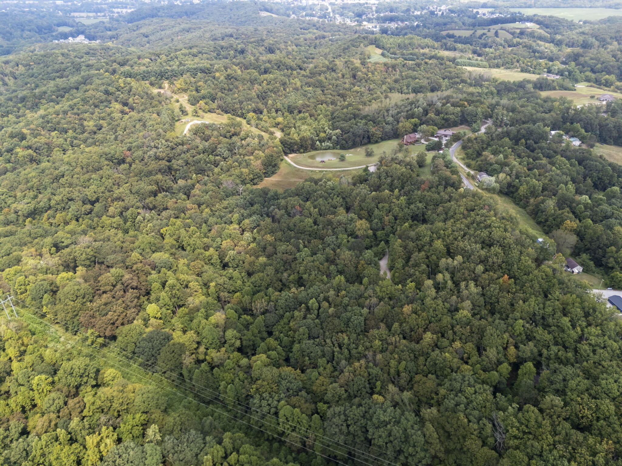 14811 Burcham Road Property Photo 36