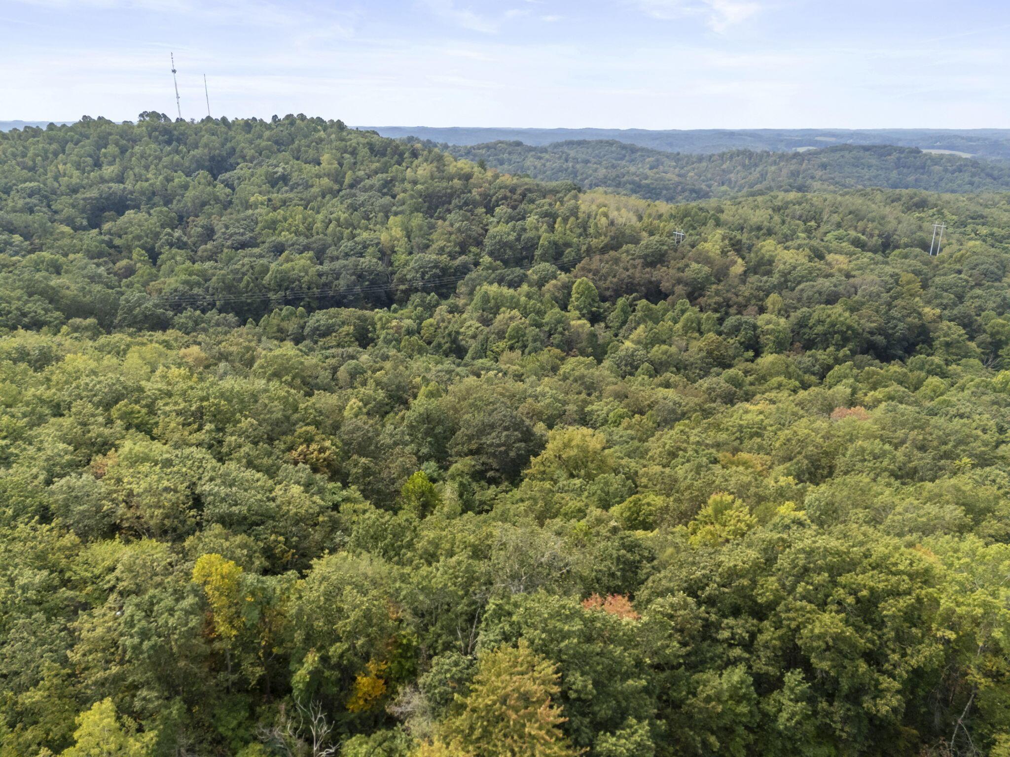 14811 Burcham Road Property Photo 37