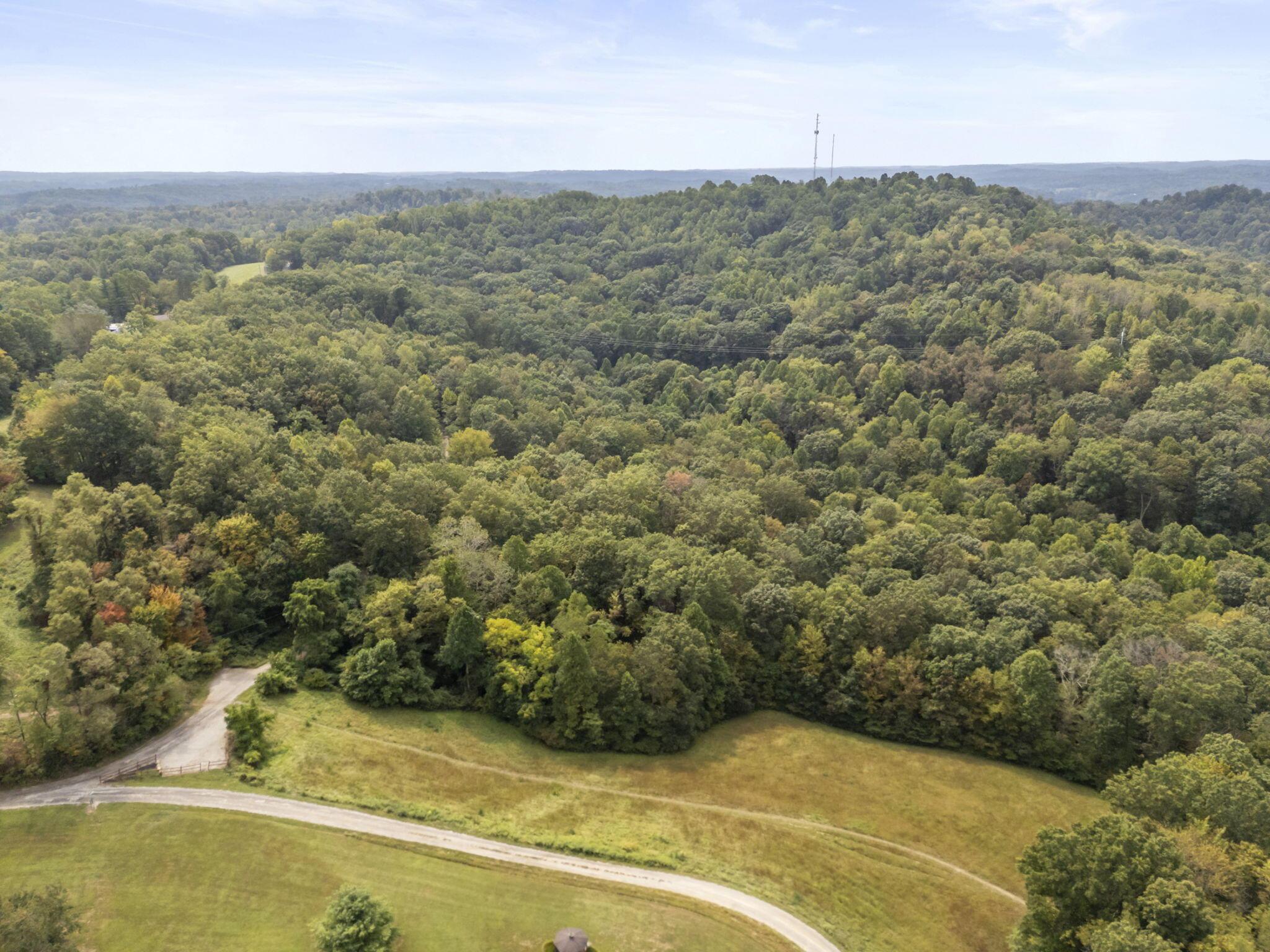 14811 Burcham Road Property Photo 38