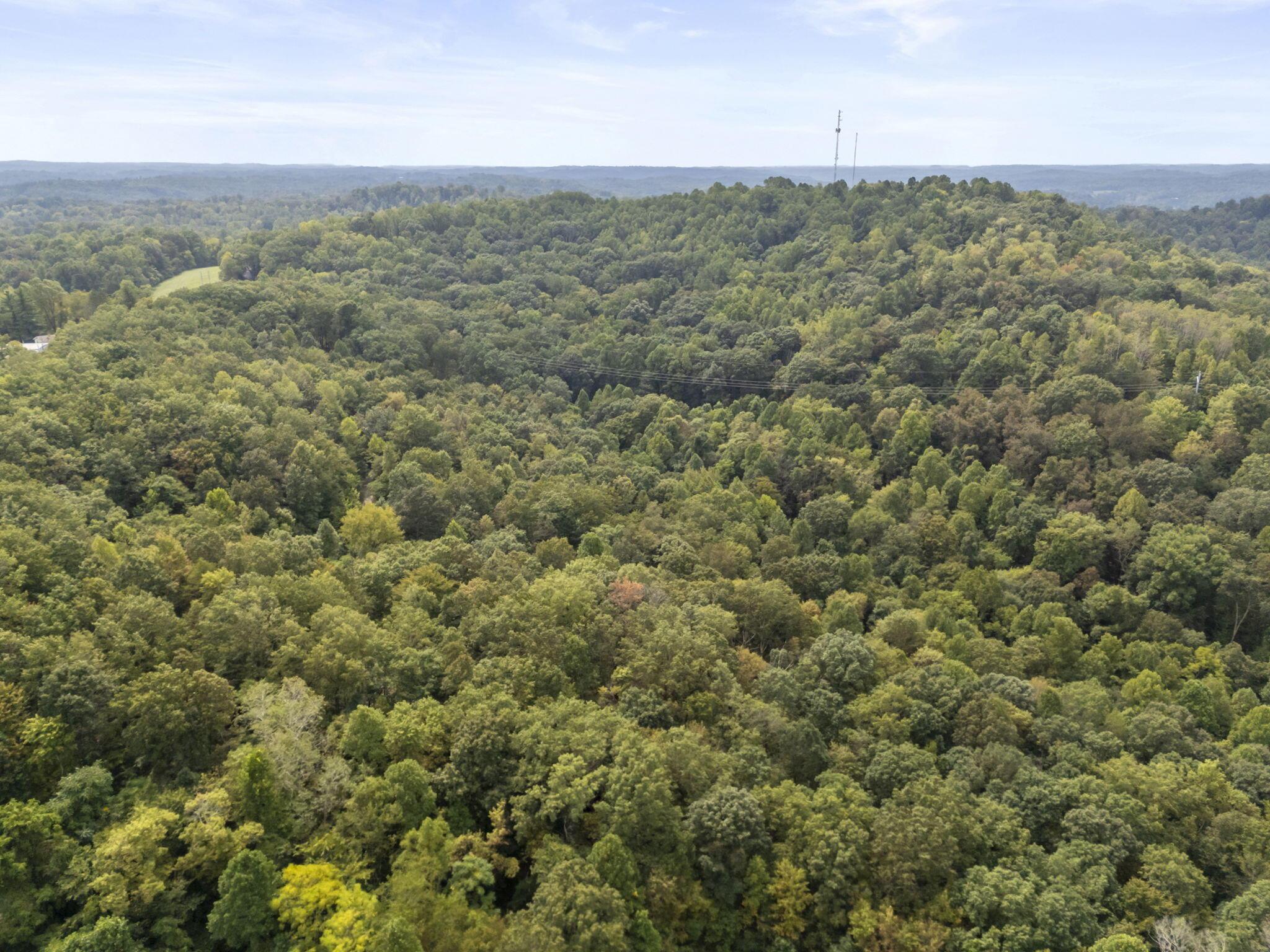 14811 Burcham Road Property Photo 39