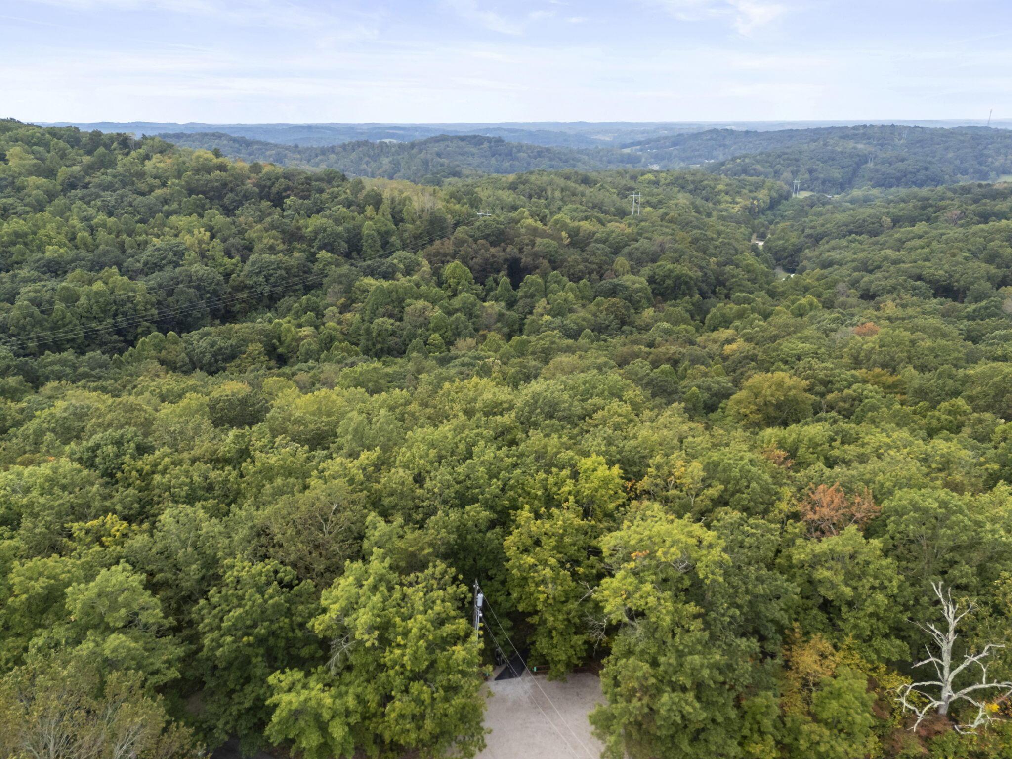 14811 Burcham Road Property Photo 40