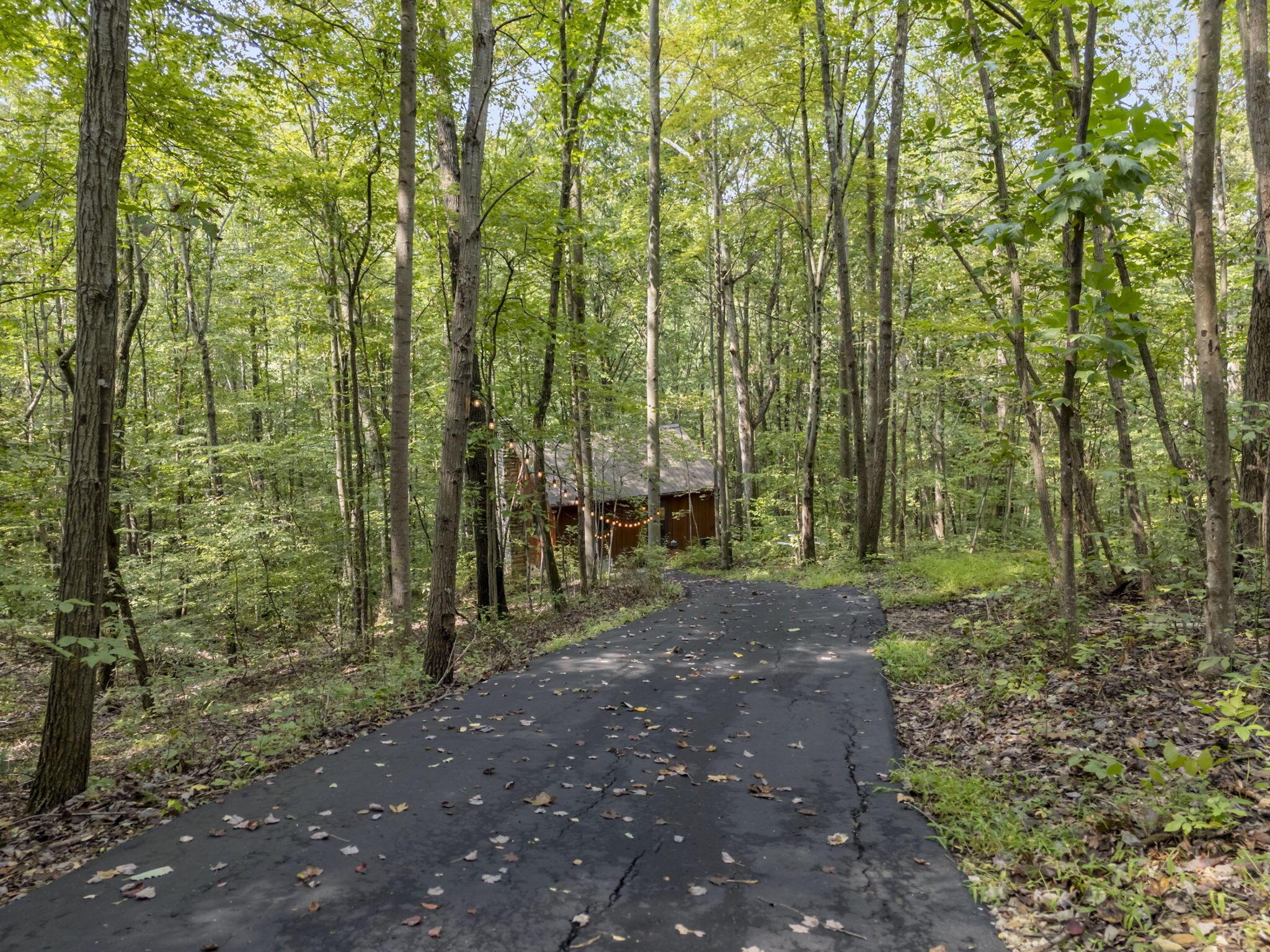 14811 Burcham Road Property Photo 86