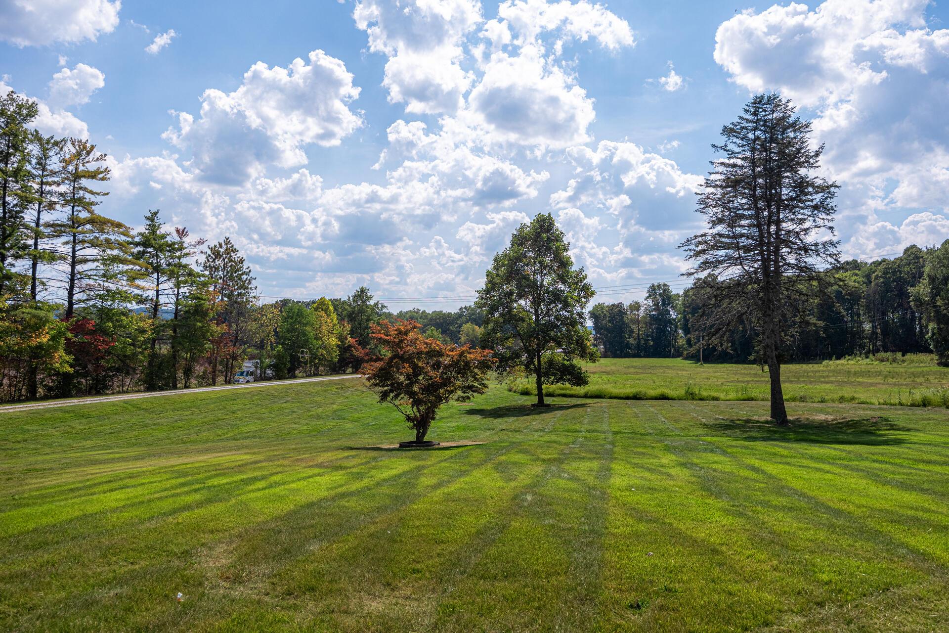15713 State Route 16 Property Photo 34
