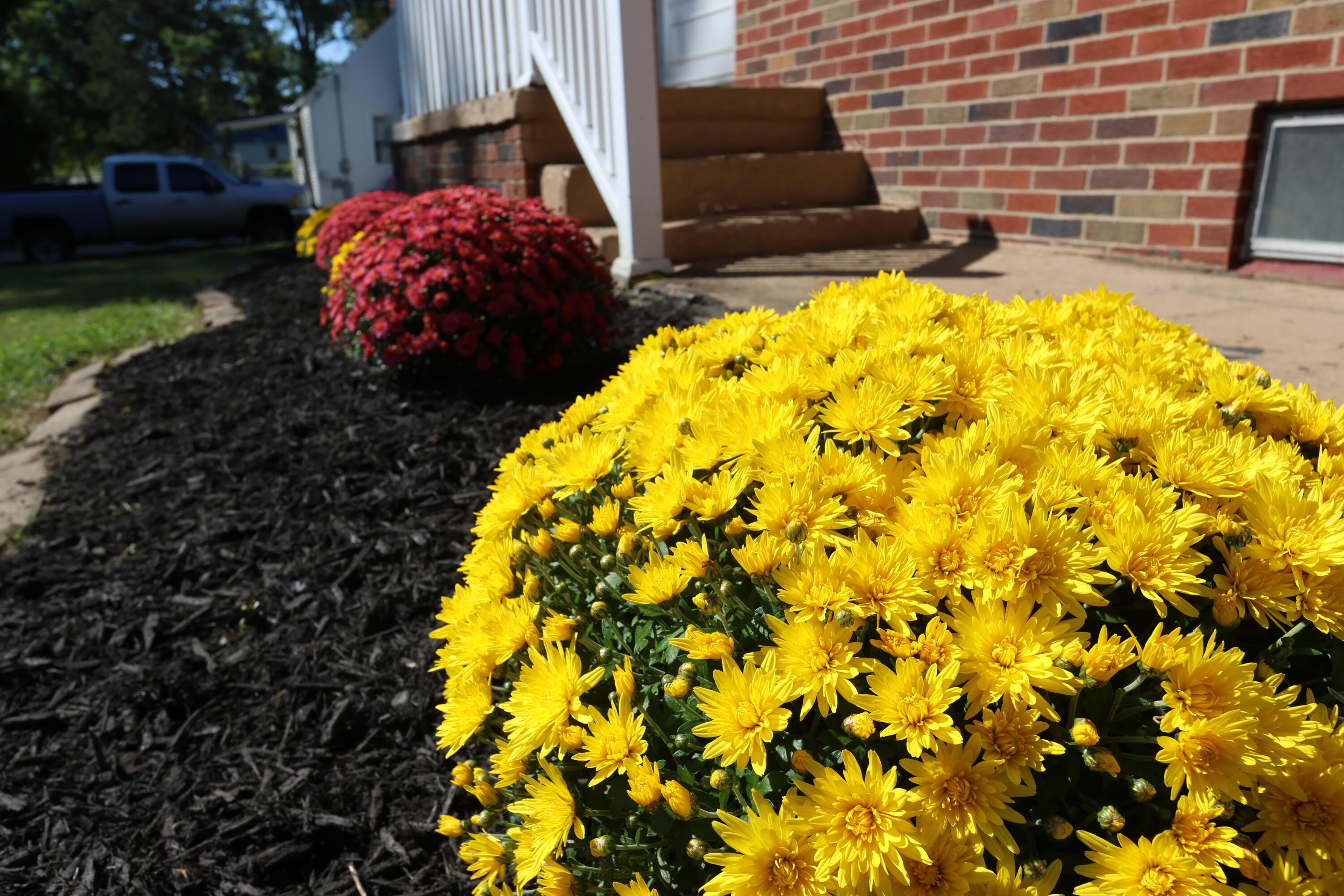 903 Mayflower Avenue Property Photo 27