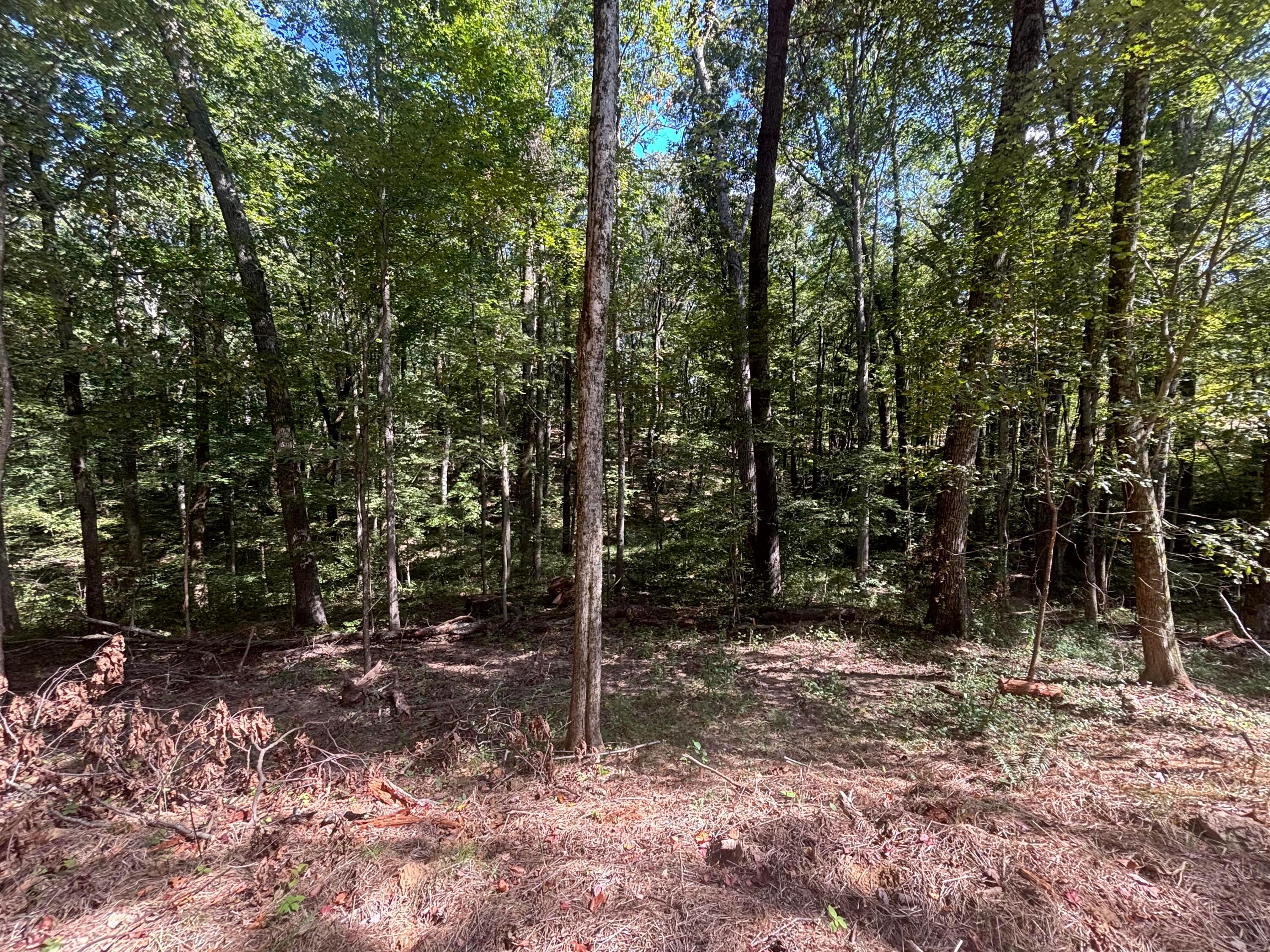 13356 Oh-374 Property Photo 12