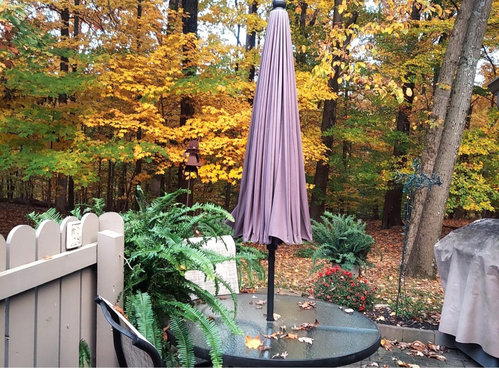 423 Hidden Ravines Drive Property Photo 33