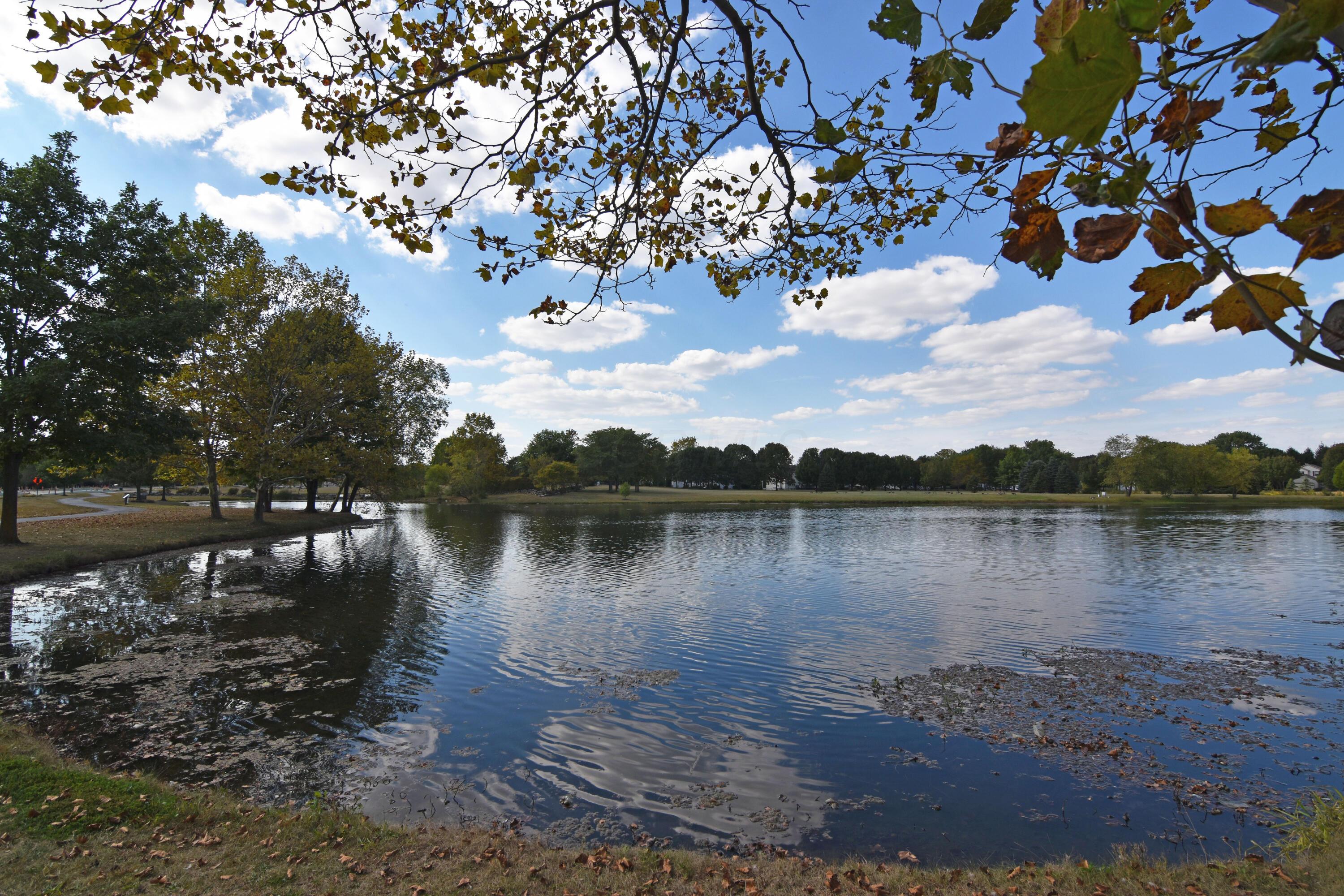 5781 Wilcox Road Property Photo 78