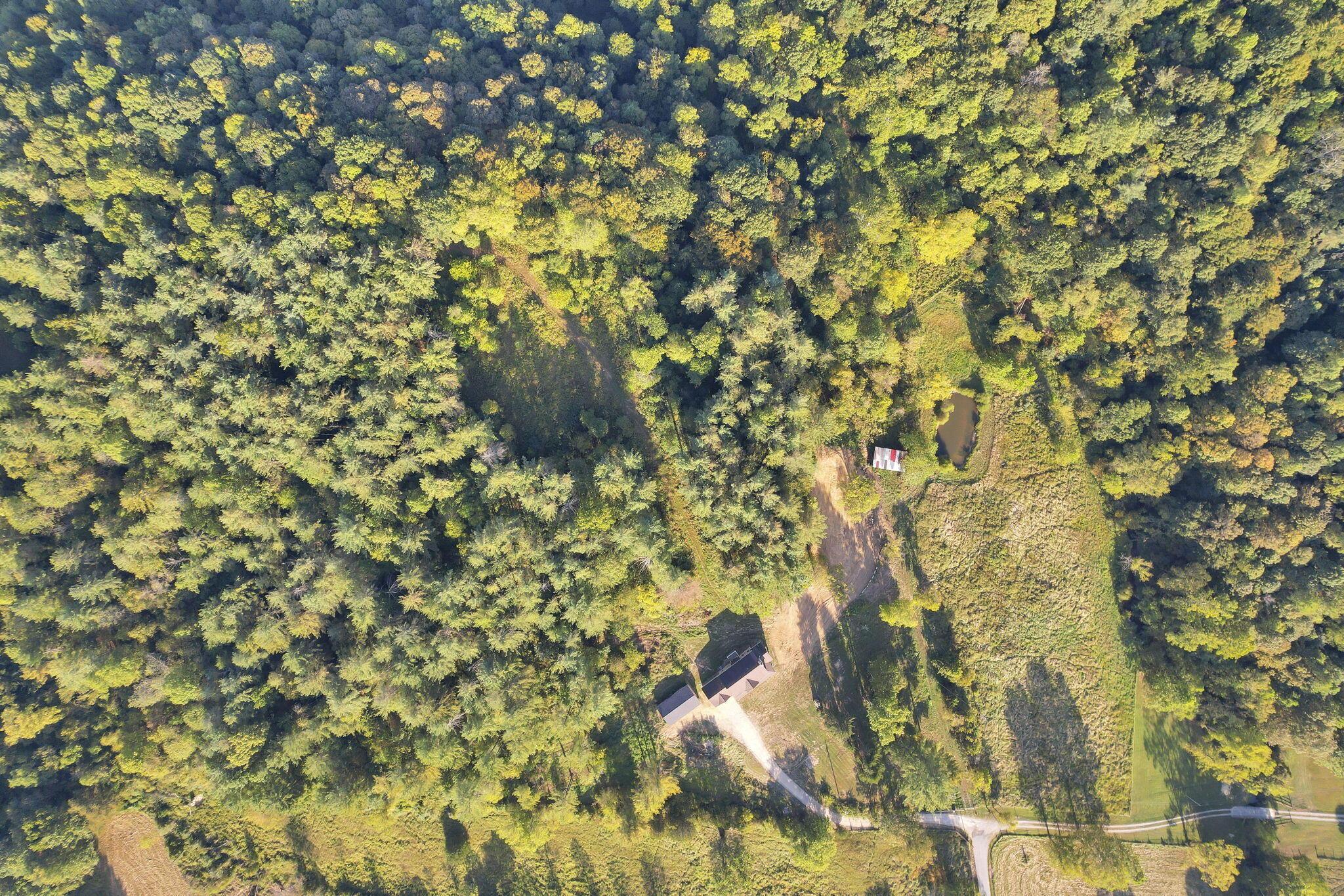 18522 Krafter Road Property Photo 82