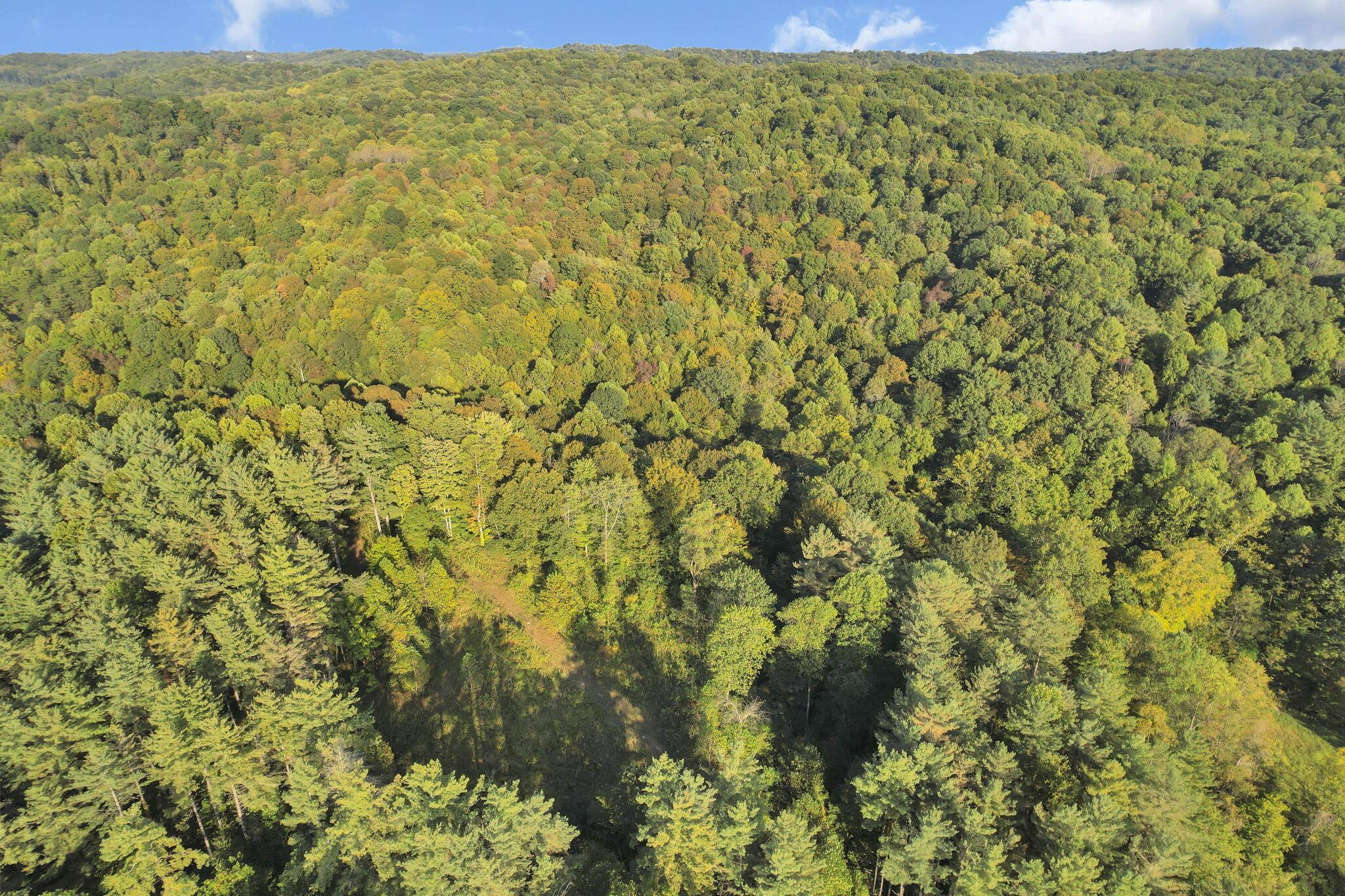 18522 Krafter Road Property Photo 86