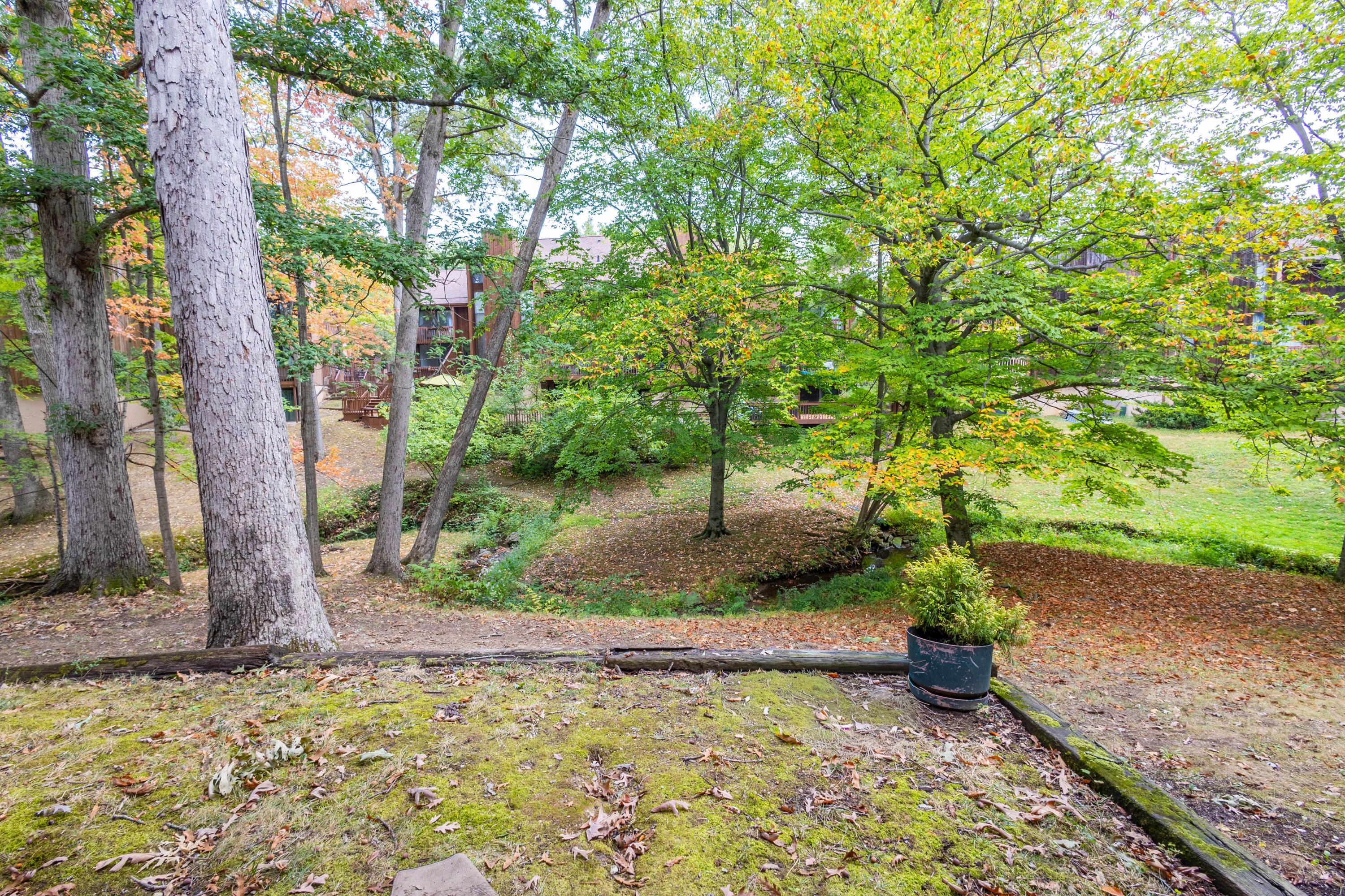 4984 Wintersong Lane, 2 Property Photo 50