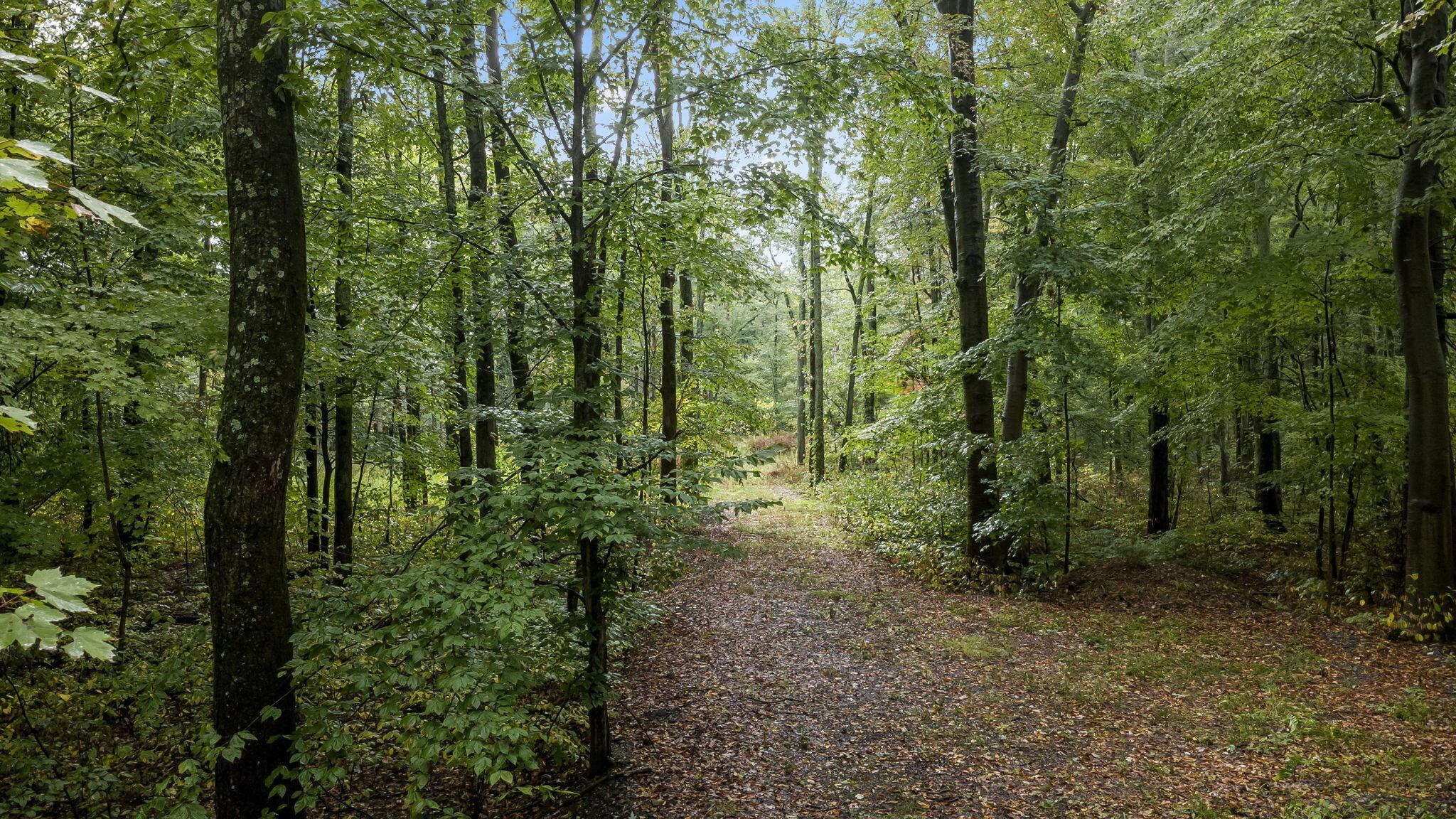 0 Babbitt Road Property Photo 6