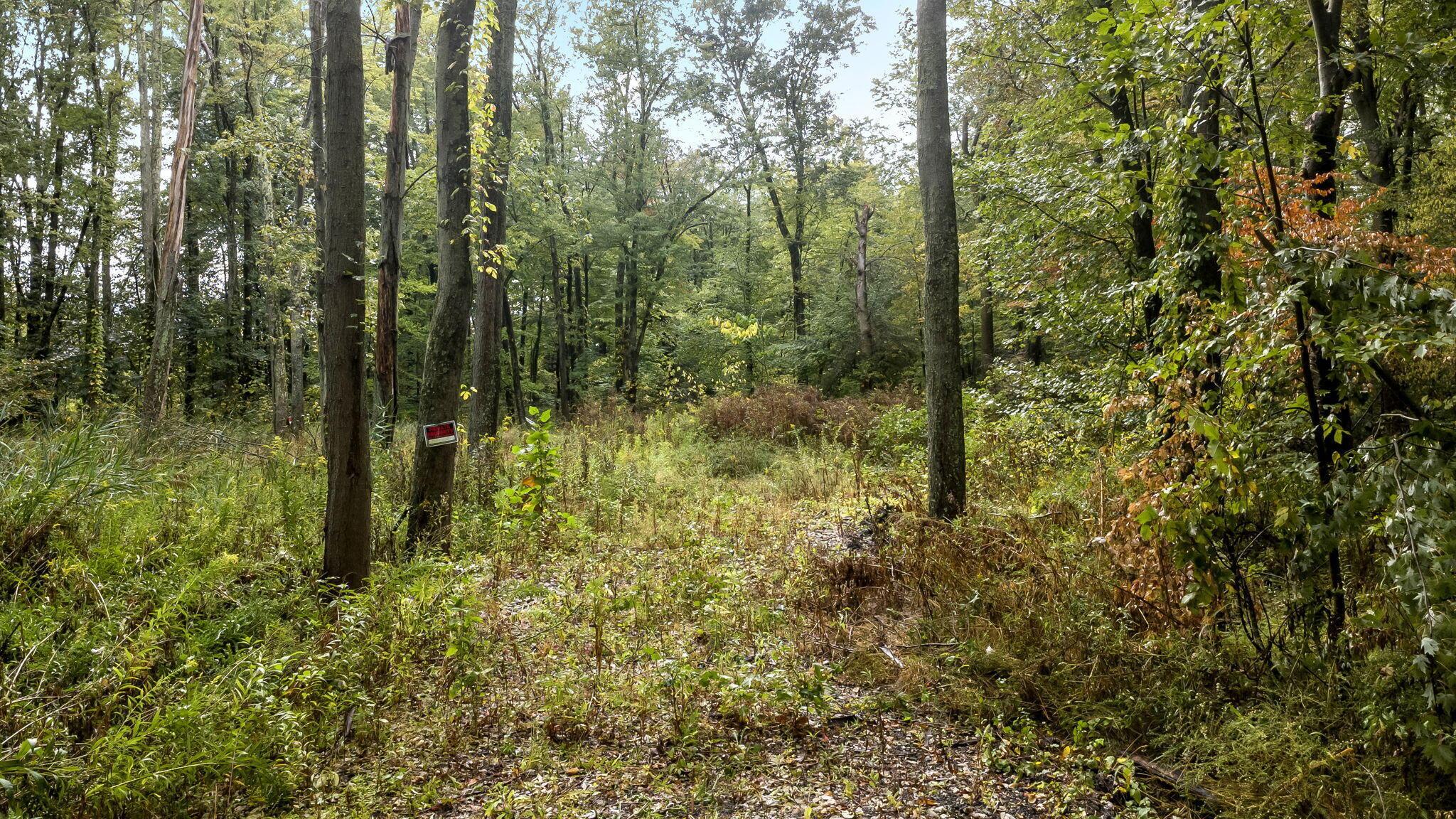 0 Babbitt Road Property Photo 7