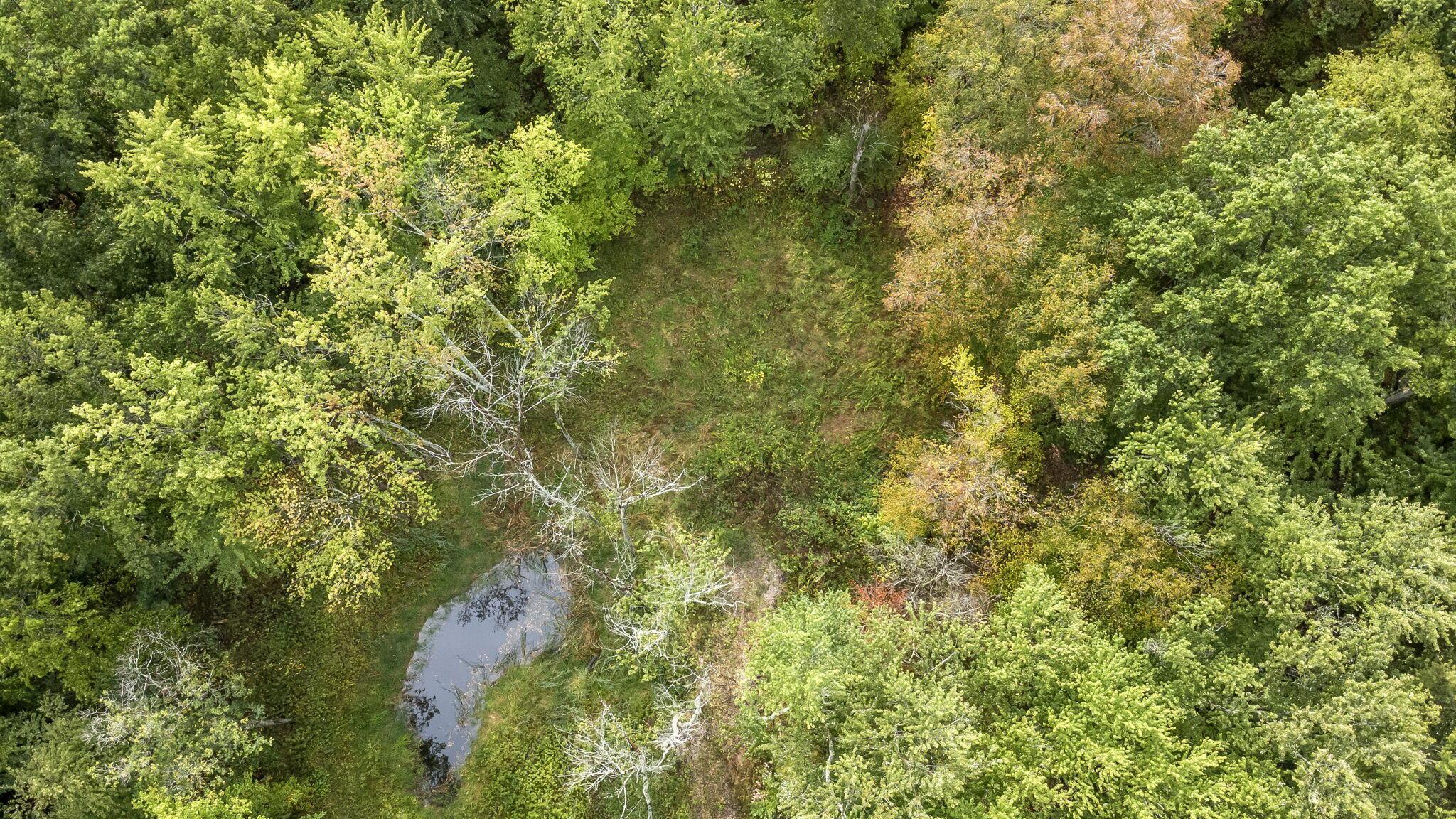 0 Babbitt Road Property Photo 8