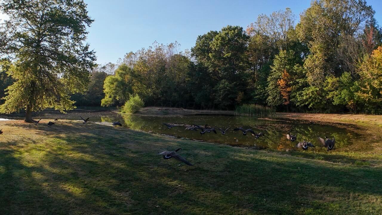 3310 State Route 61 Property Photo 21