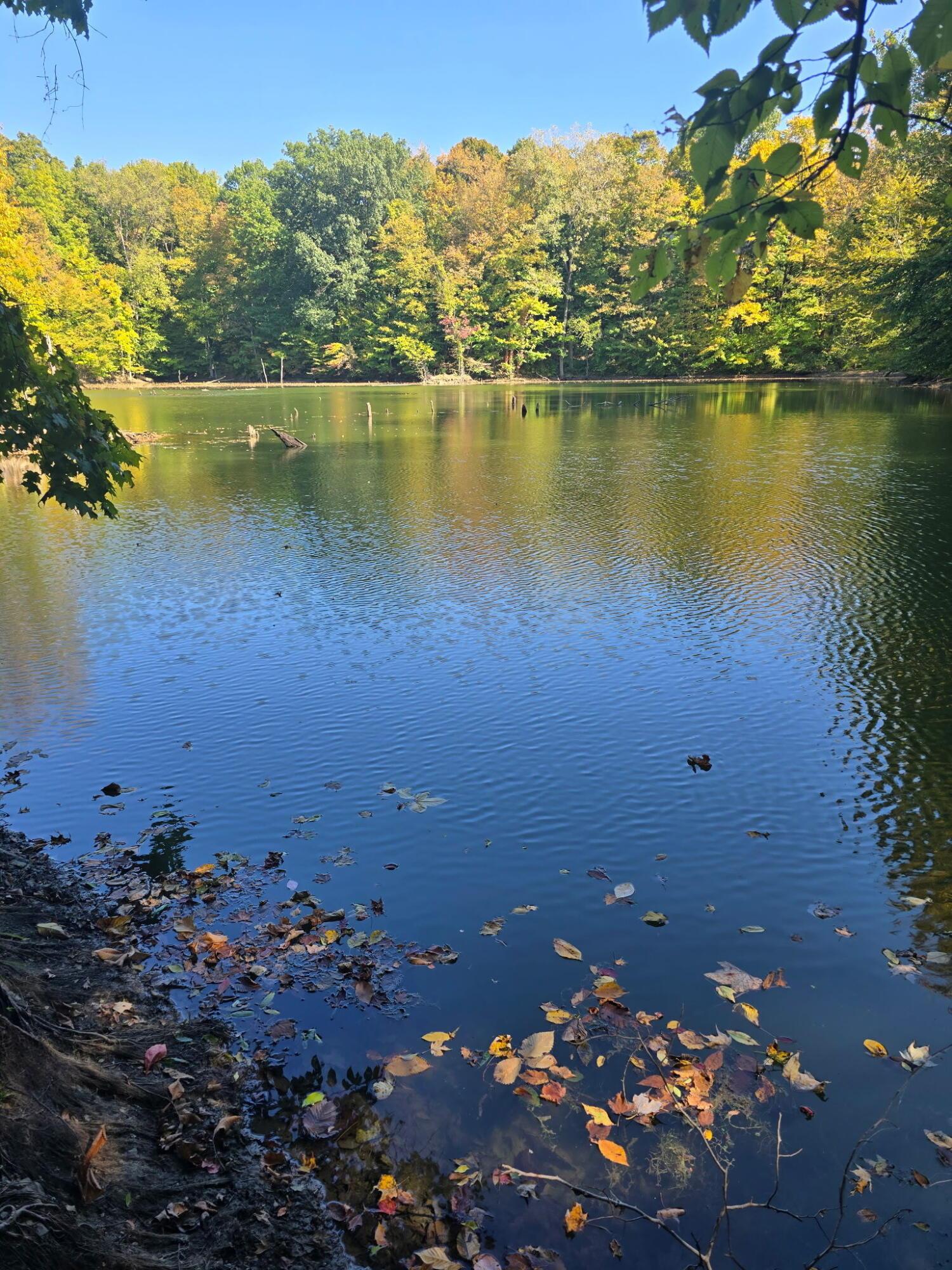 3310 State Route 61 Property Photo 31