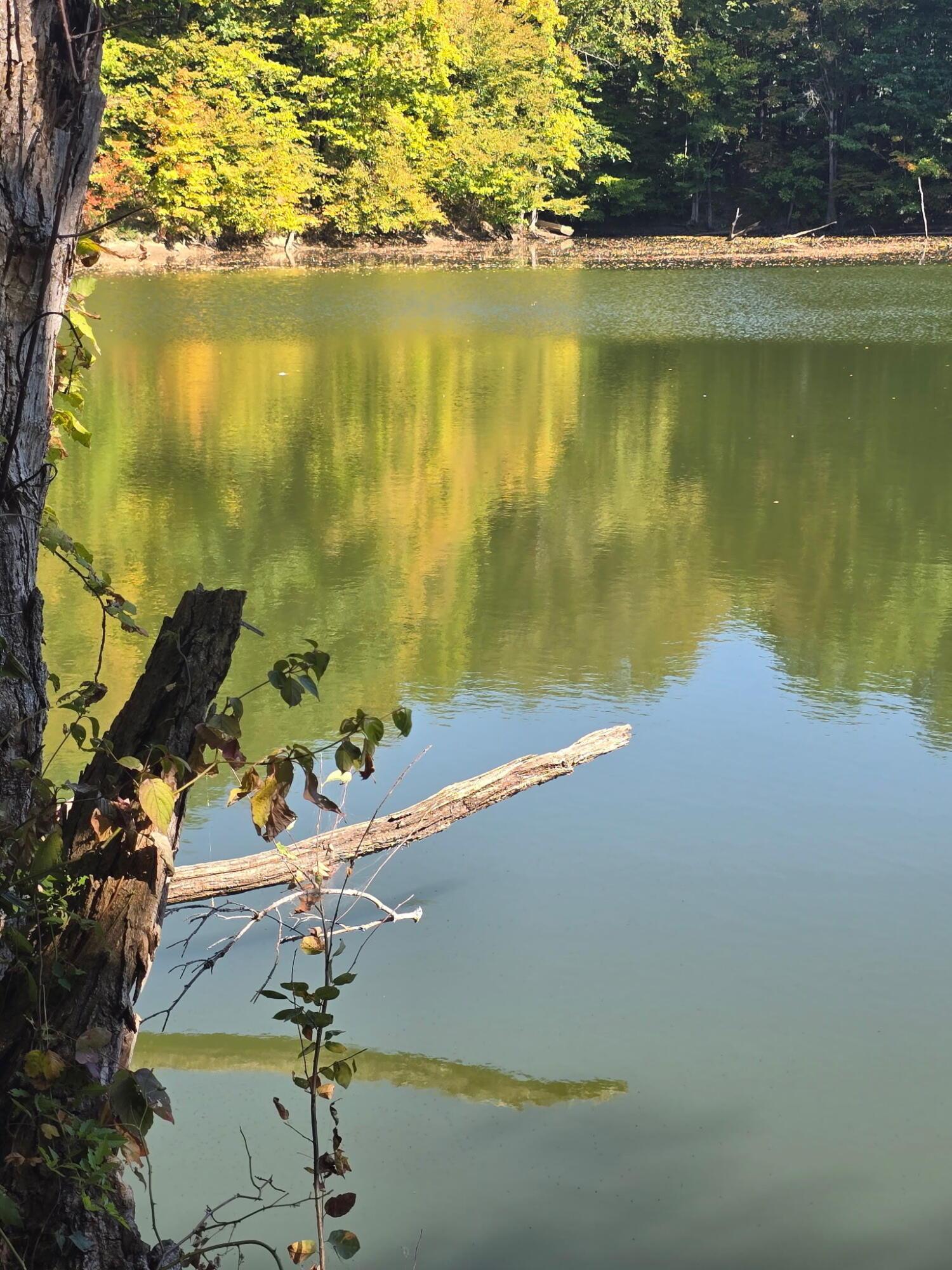 3310 State Route 61 Property Photo 34