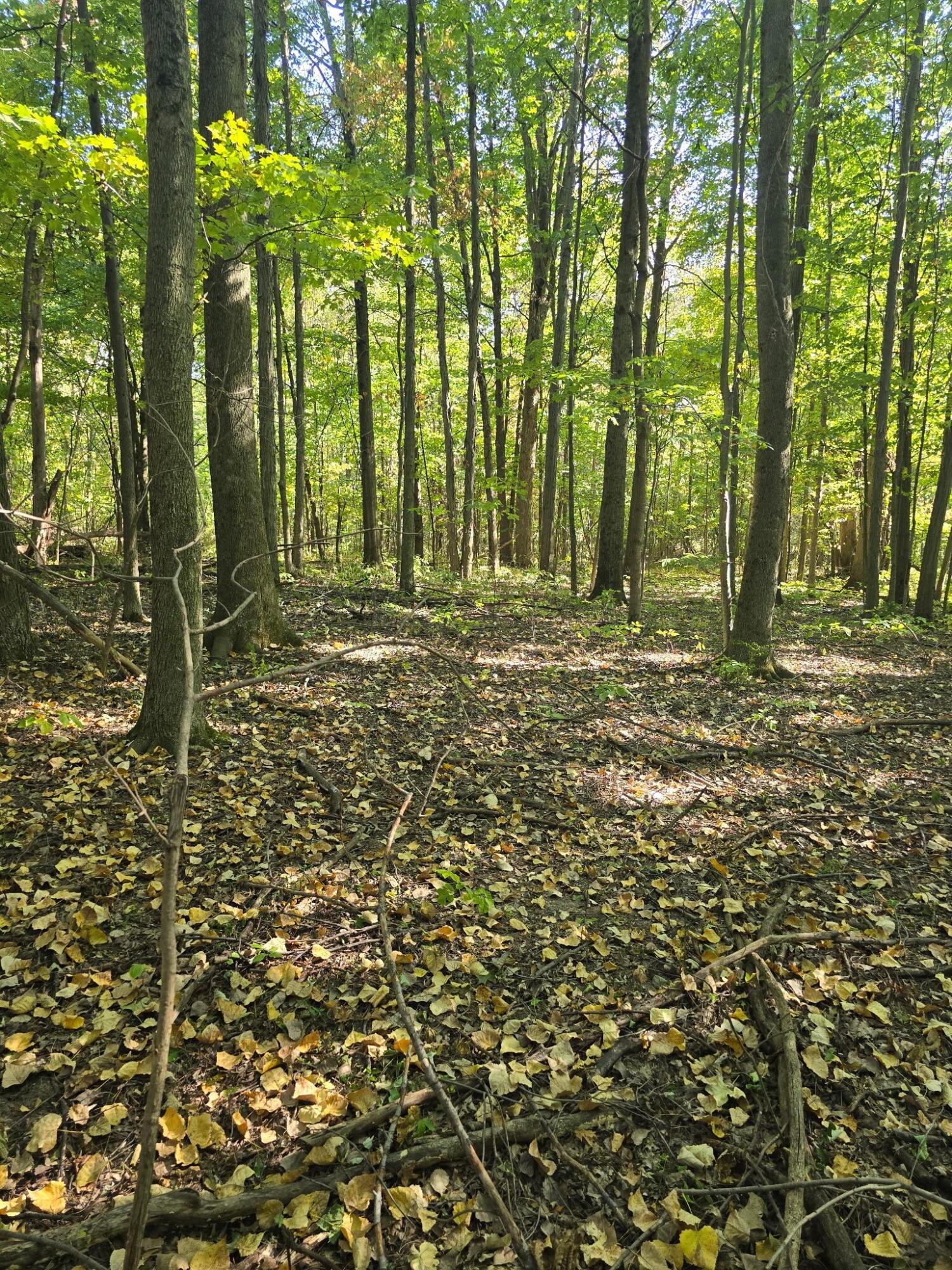 3310 State Route 61 Property Photo 35