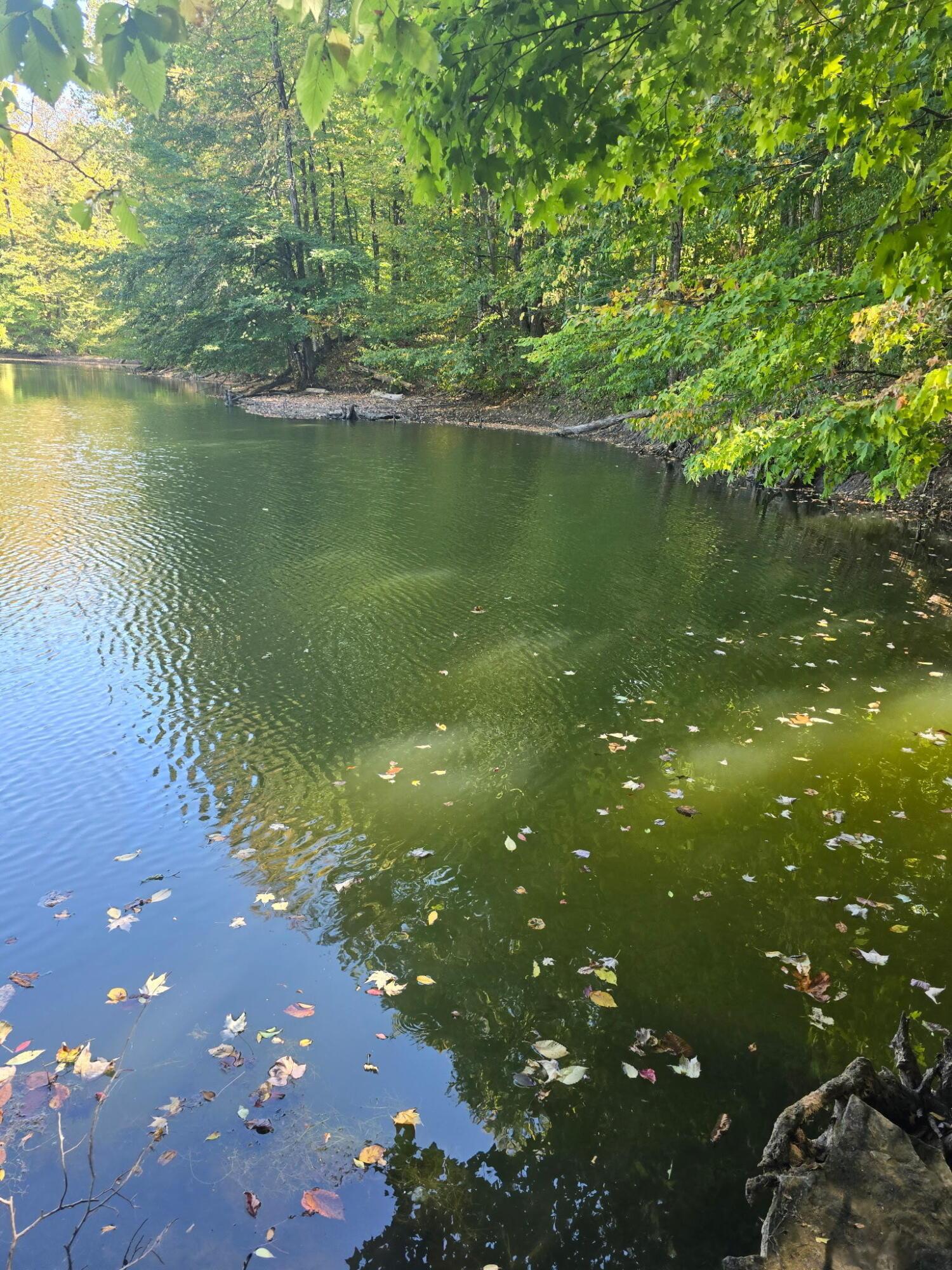 3310 State Route 61 Property Photo 36