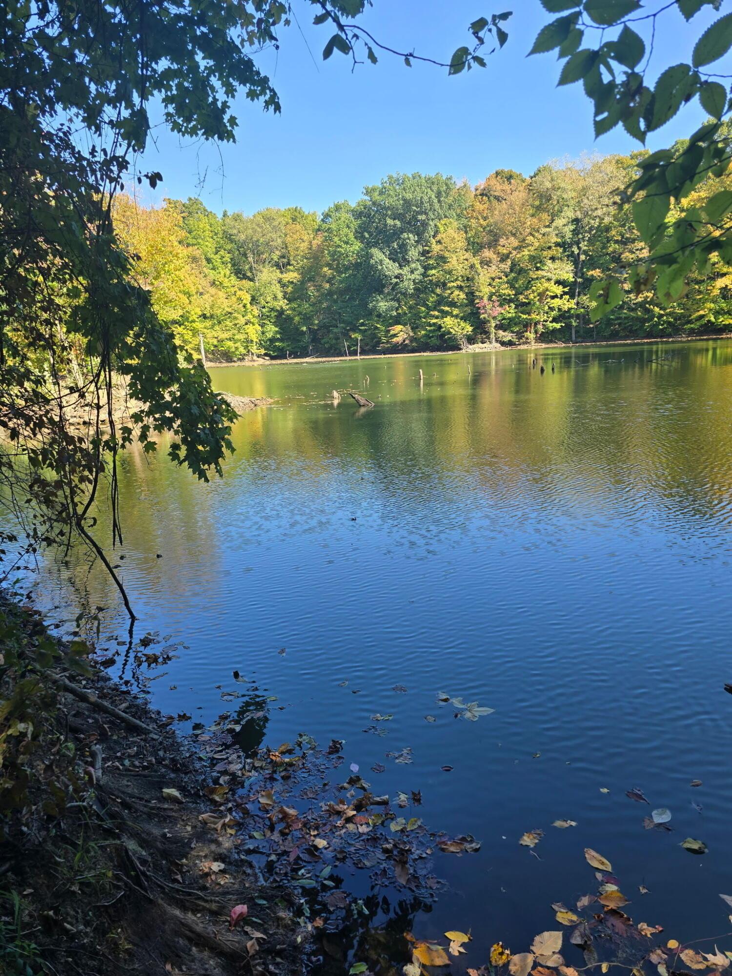 3310 State Route 61 Property Photo 38