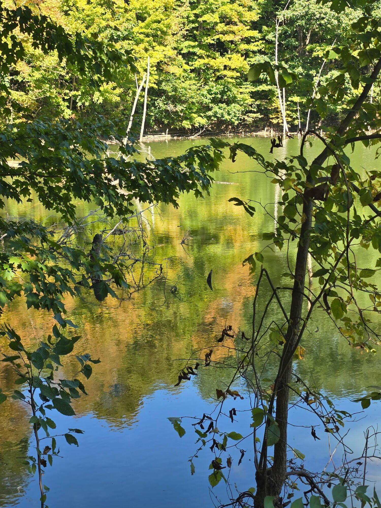 3310 State Route 61 Property Photo 39