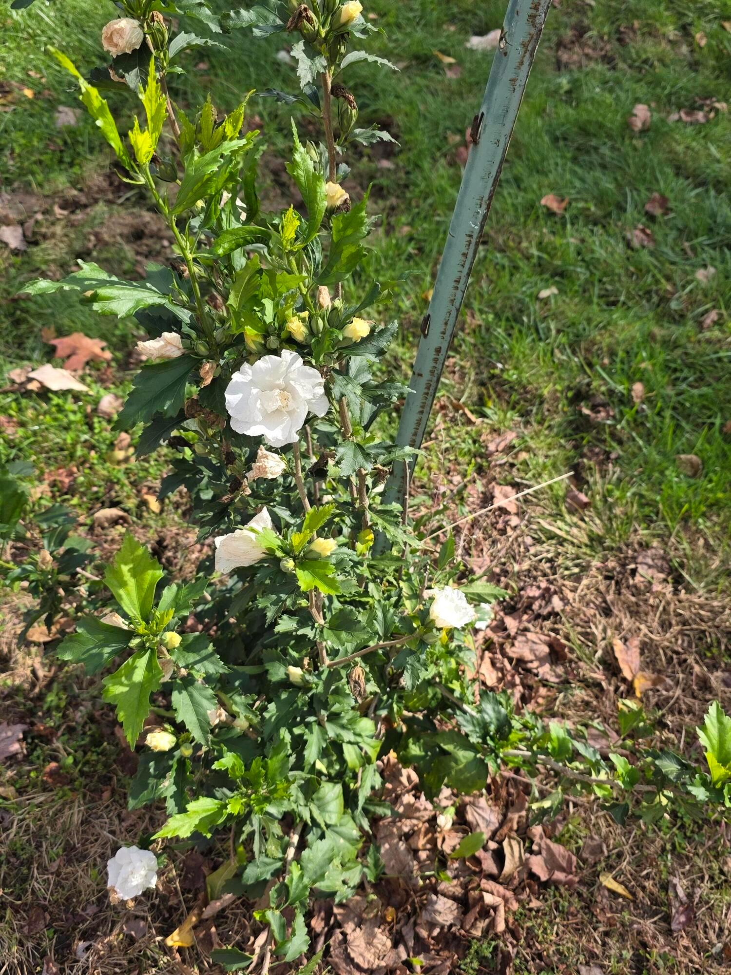 3310 State Route 61 Property Photo 50