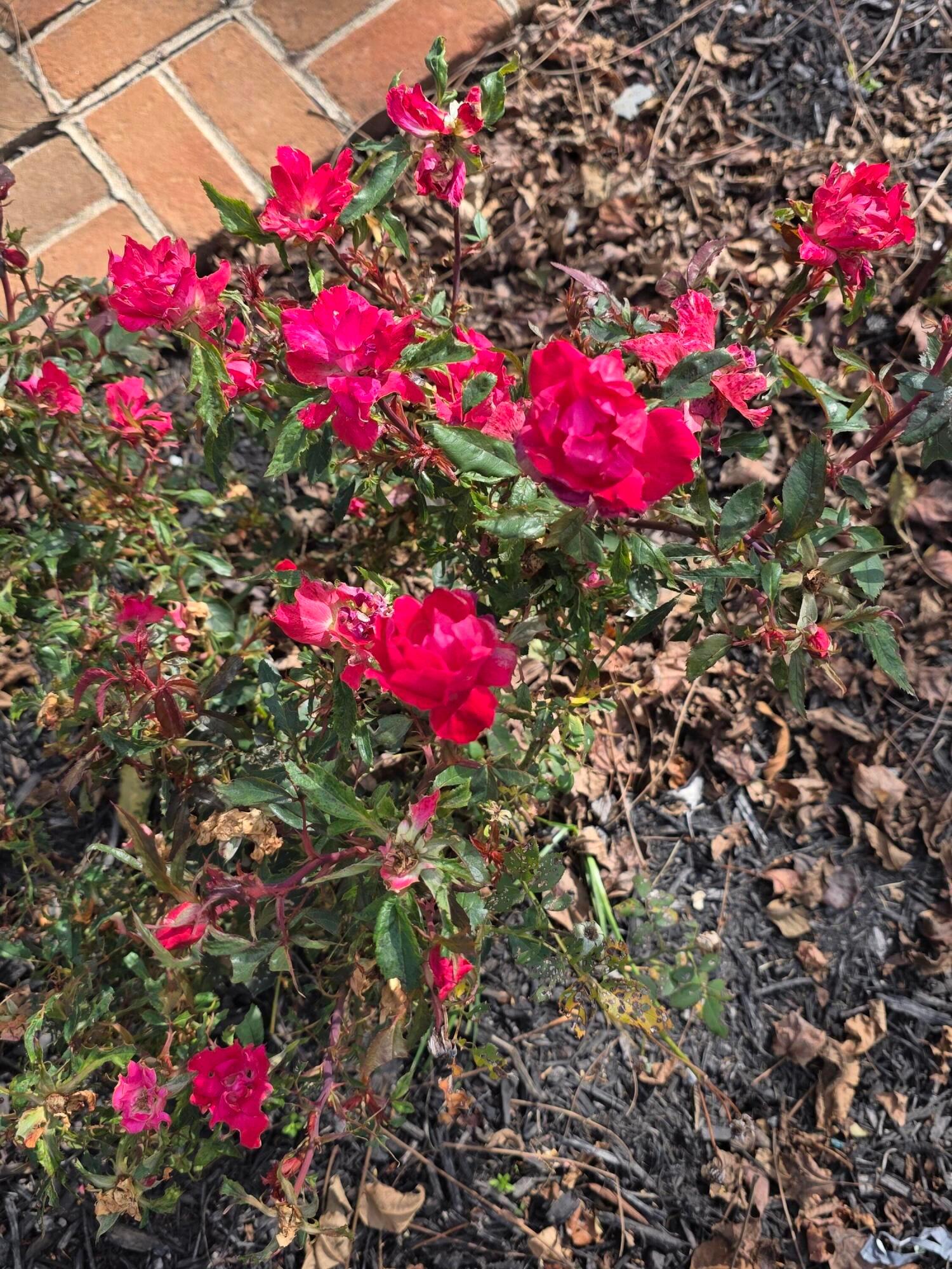 3310 State Route 61 Property Photo 52